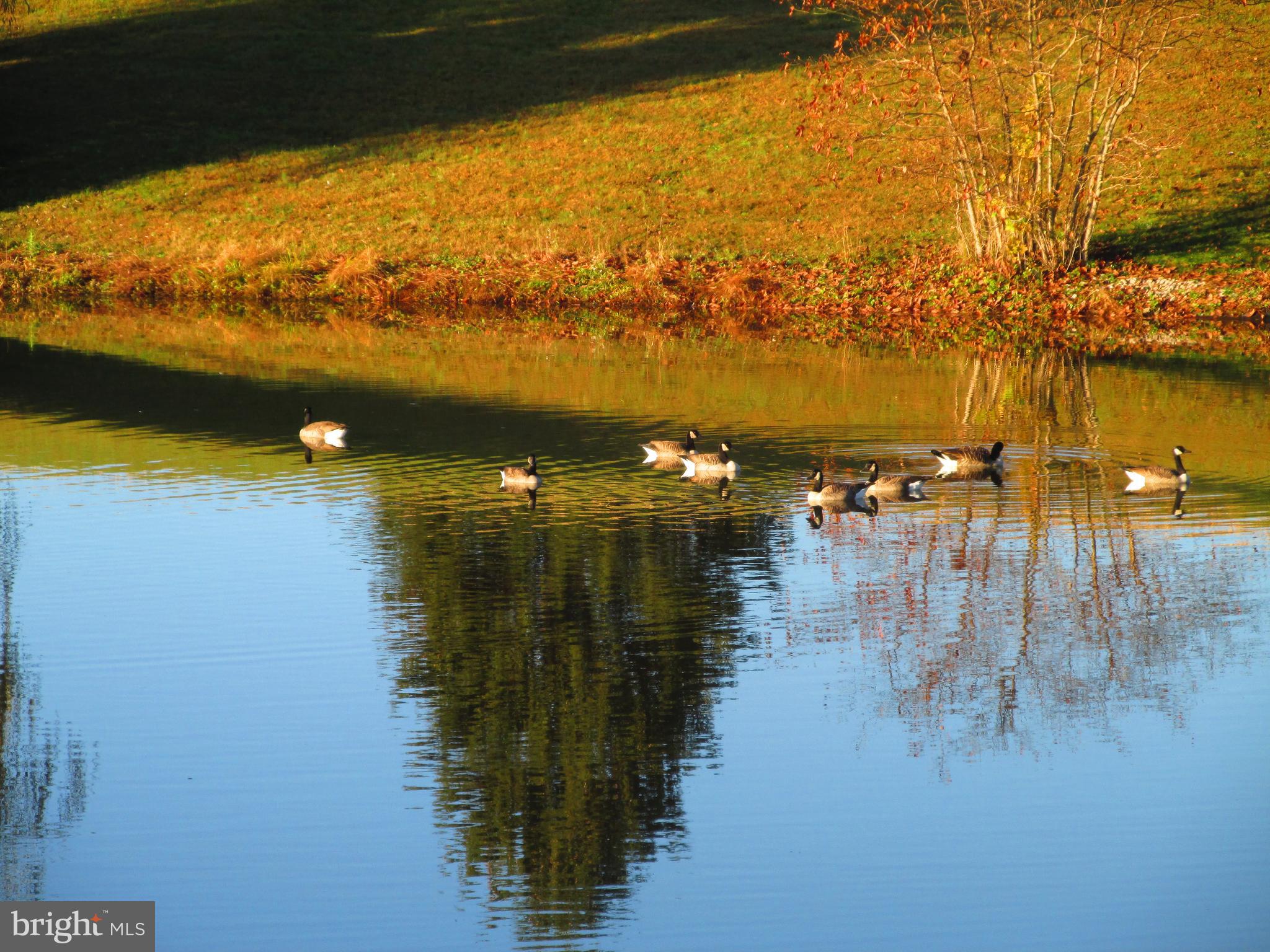 WASHINGTON TWP - Residential