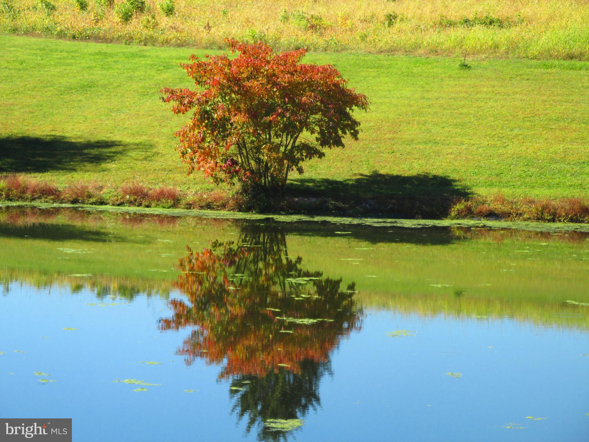 WASHINGTON TWP - Residential