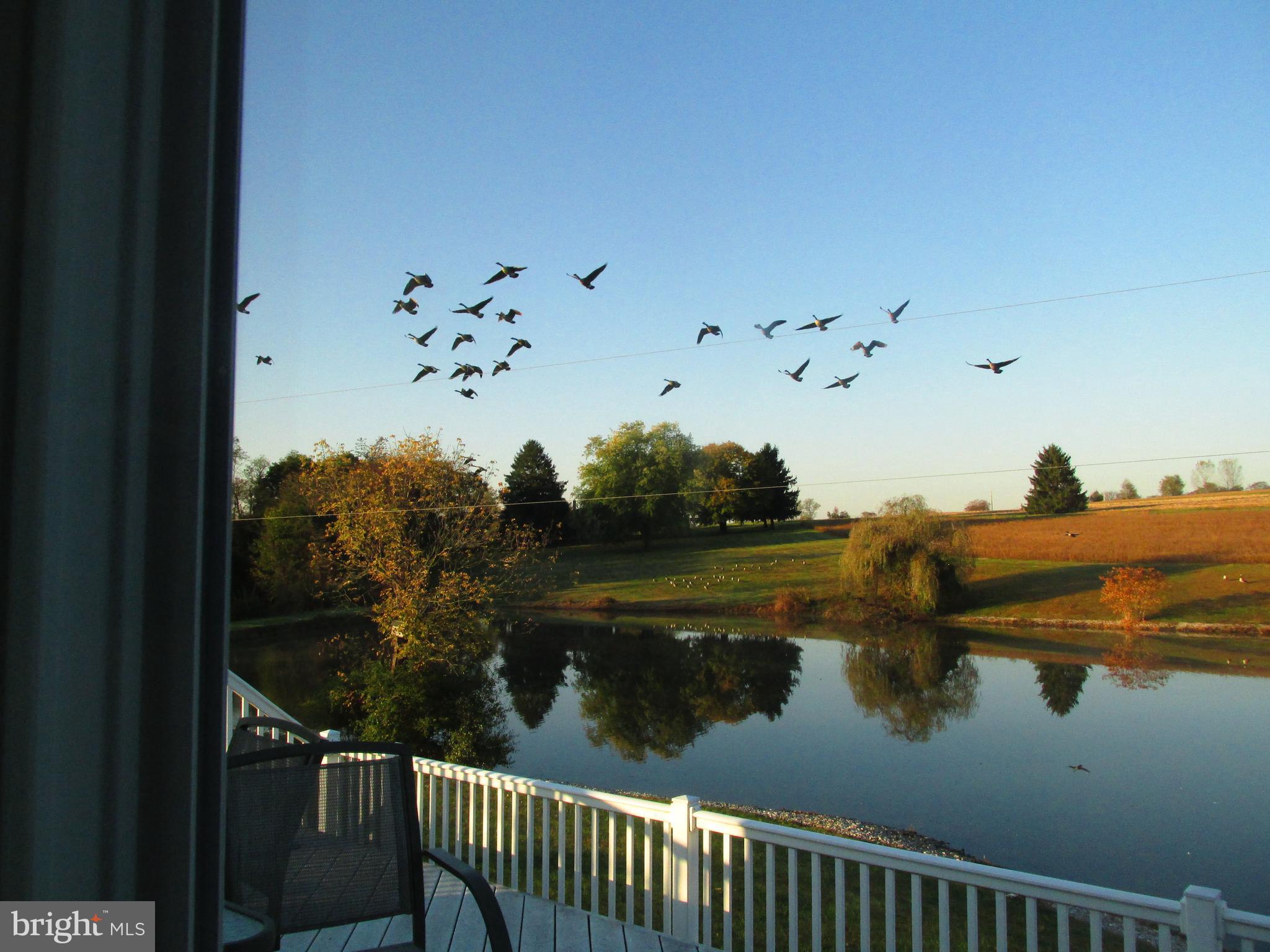 WASHINGTON TWP - Residential