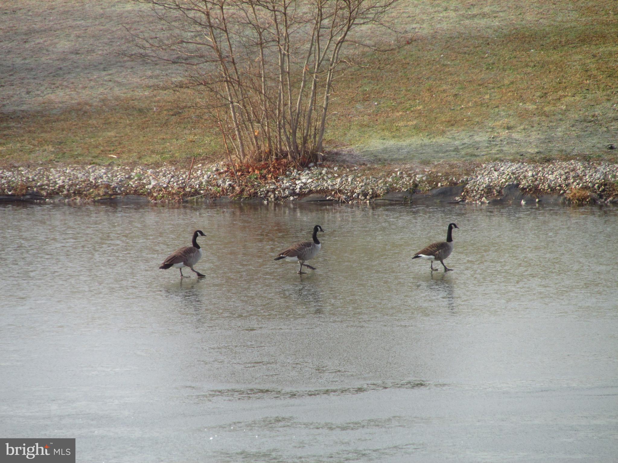 WASHINGTON TWP - Residential