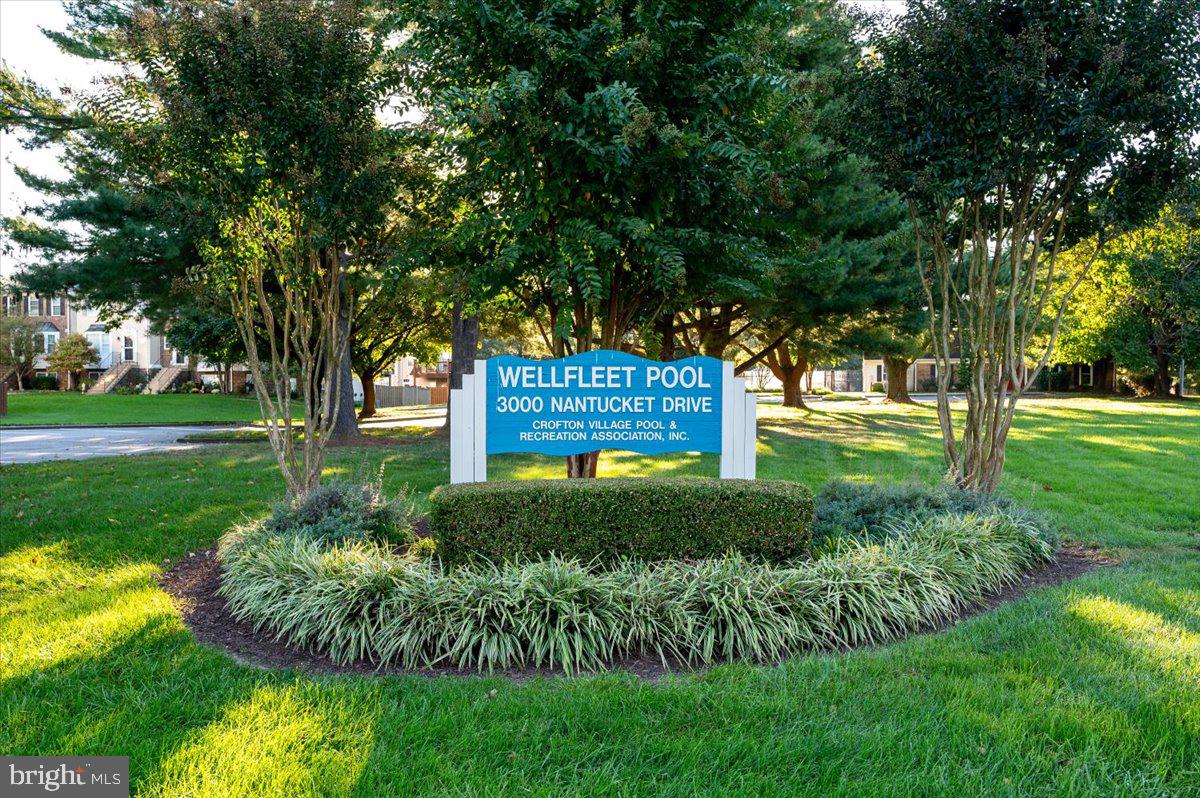 SYCAMORE MEWS - Residential