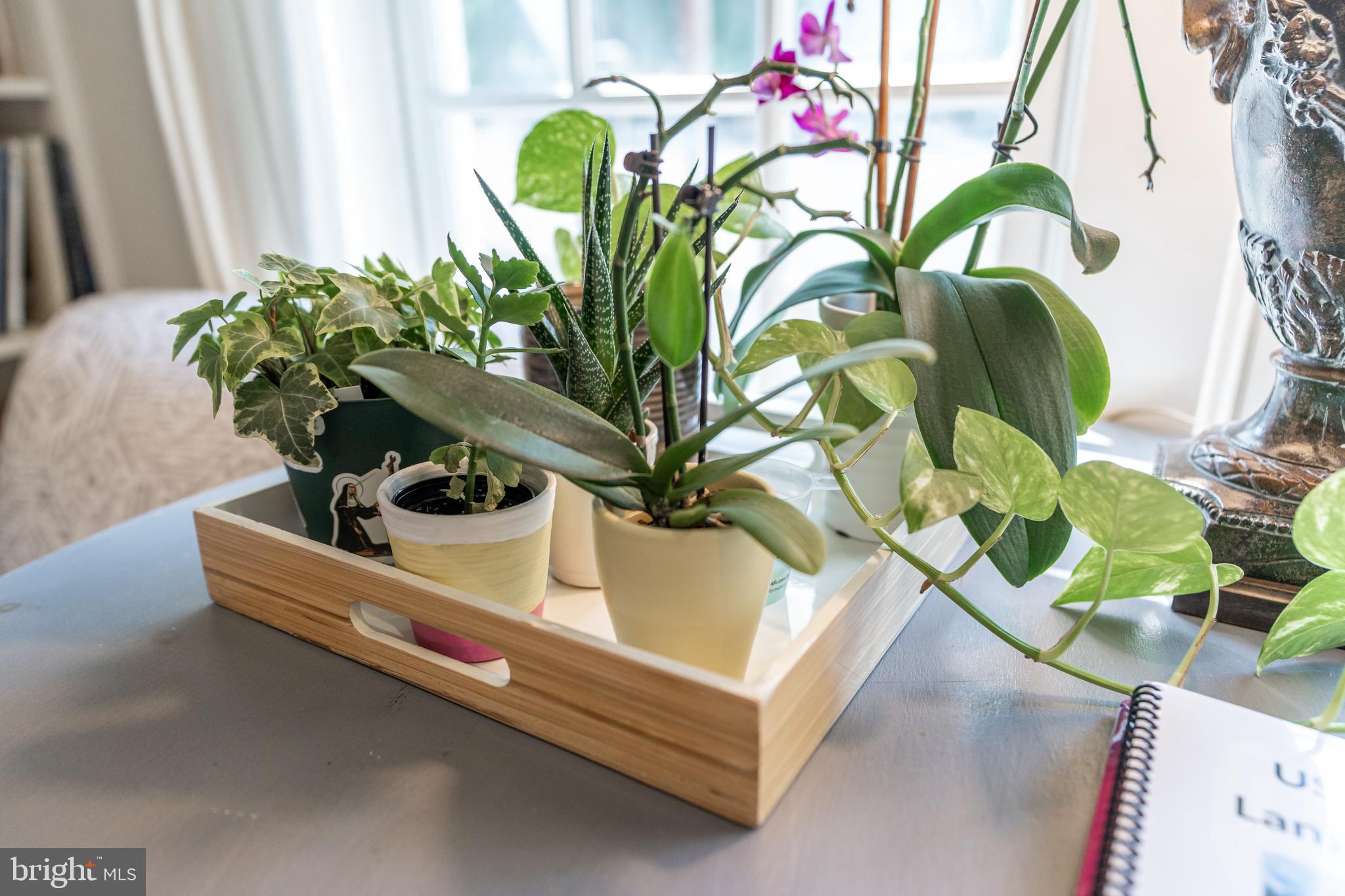 HISTORIC DISTRICT - Residential