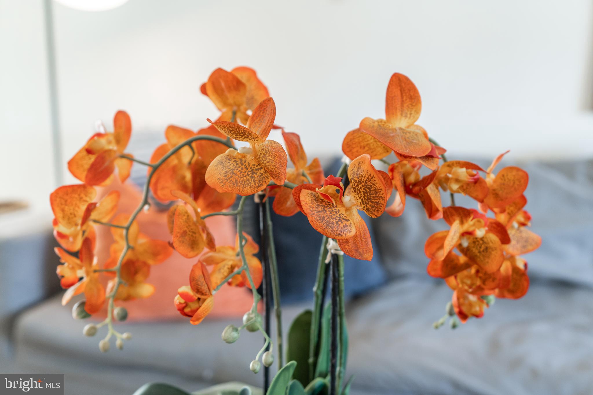 HISTORIC DISTRICT - Residential