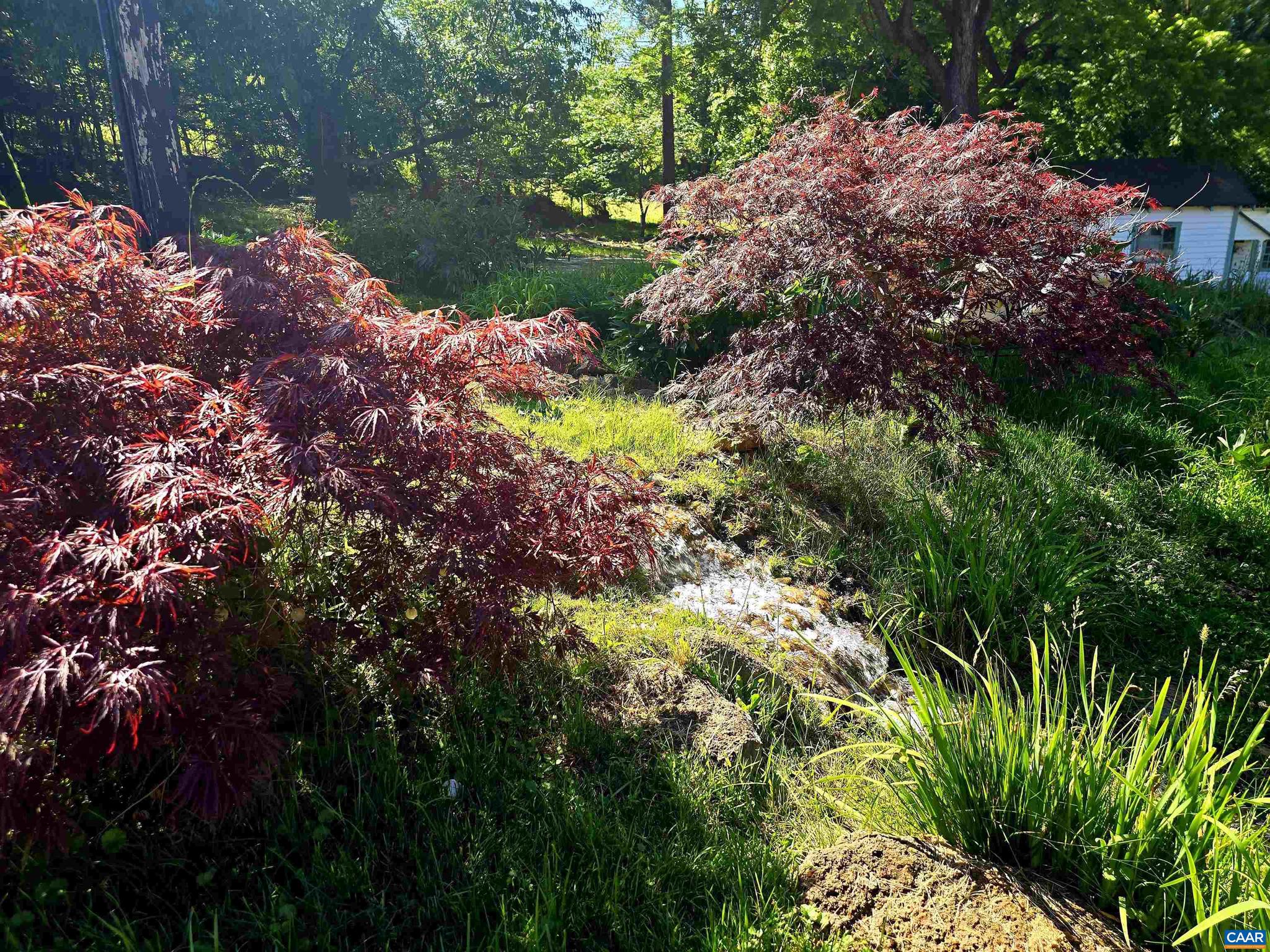 ROCKFISH ORCHARD - Residential