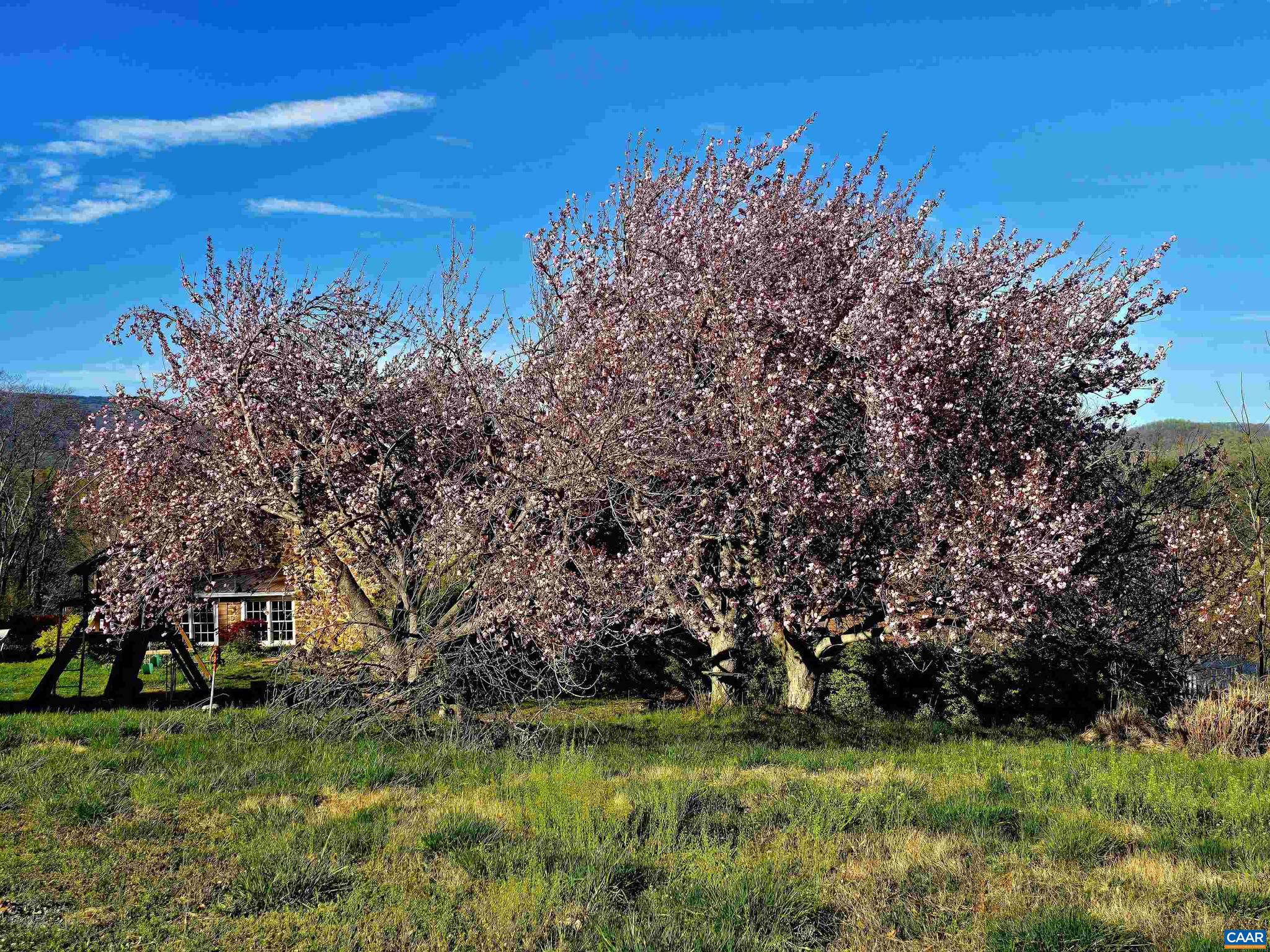 ROCKFISH ORCHARD - Residential