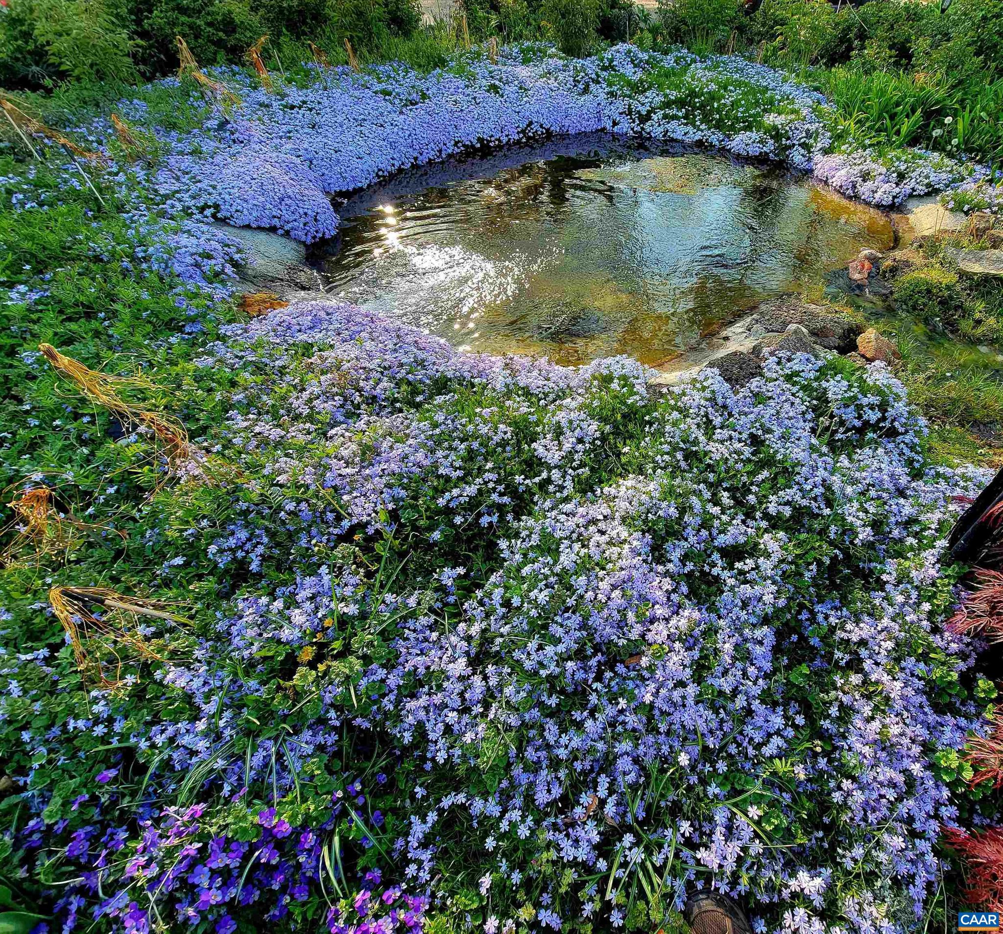 ROCKFISH ORCHARD - Residential