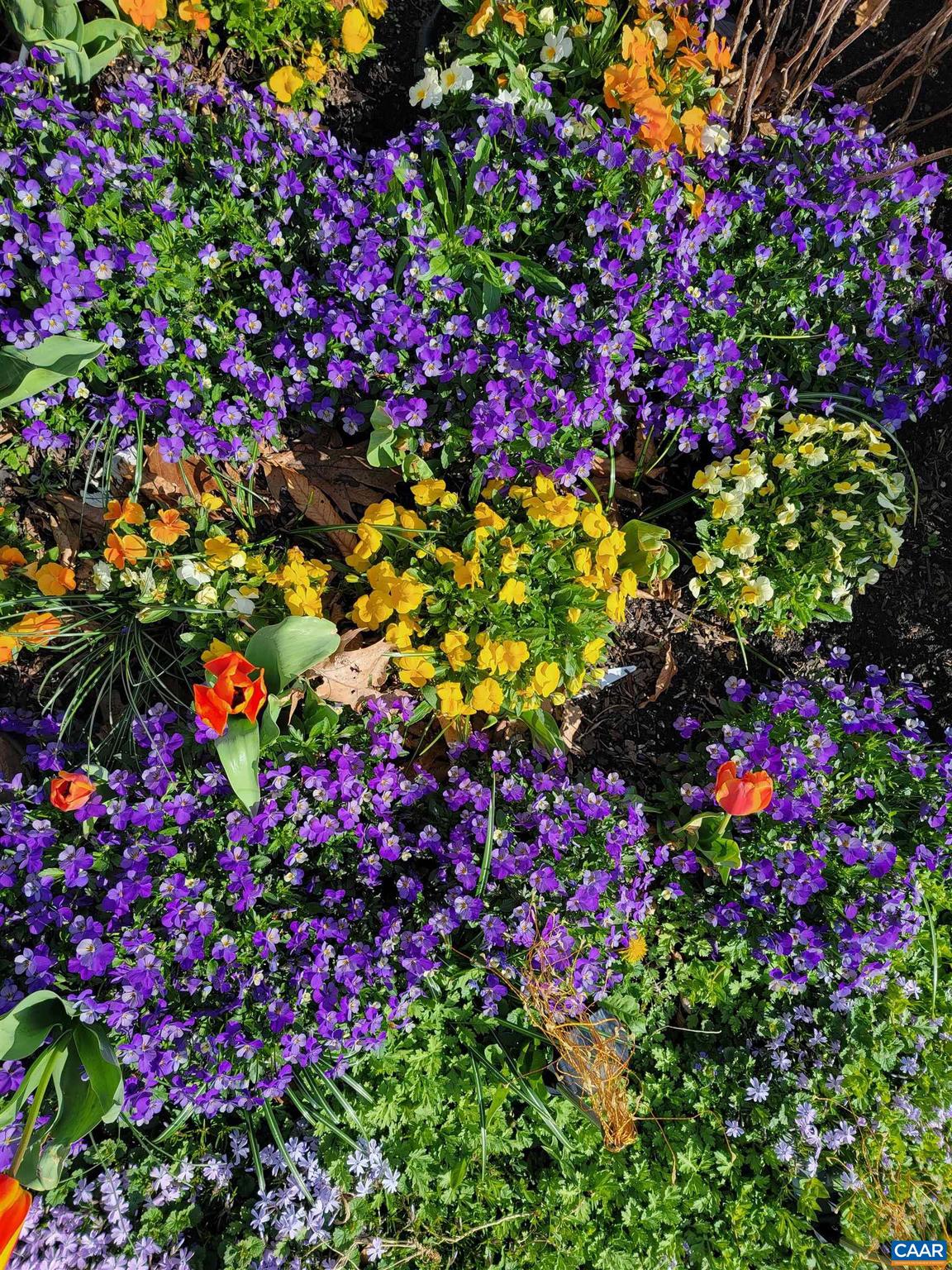 ROCKFISH ORCHARD - Residential