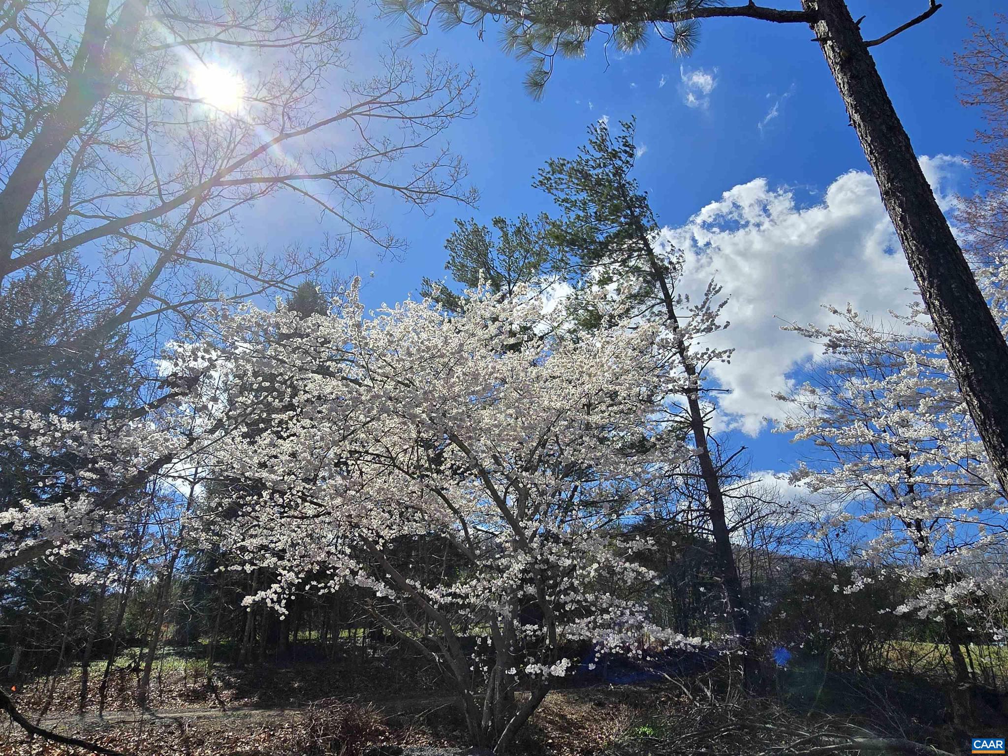 ROCKFISH ORCHARD - Residential