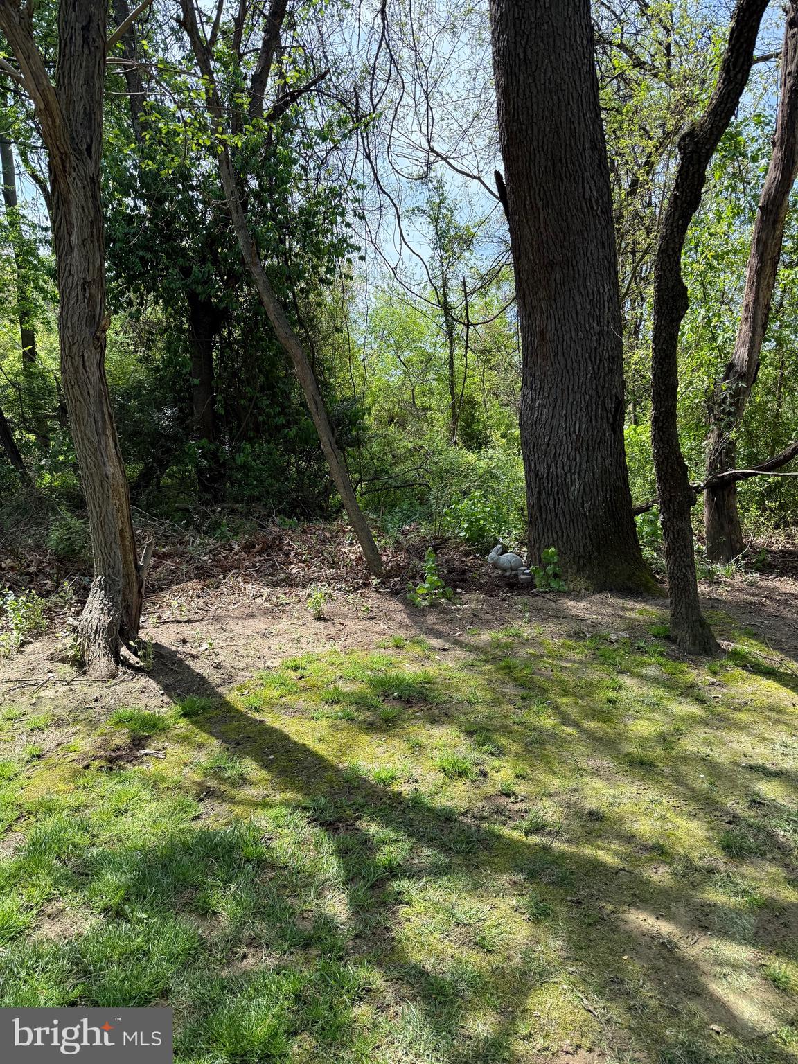 9115 JEFFERSON STREET