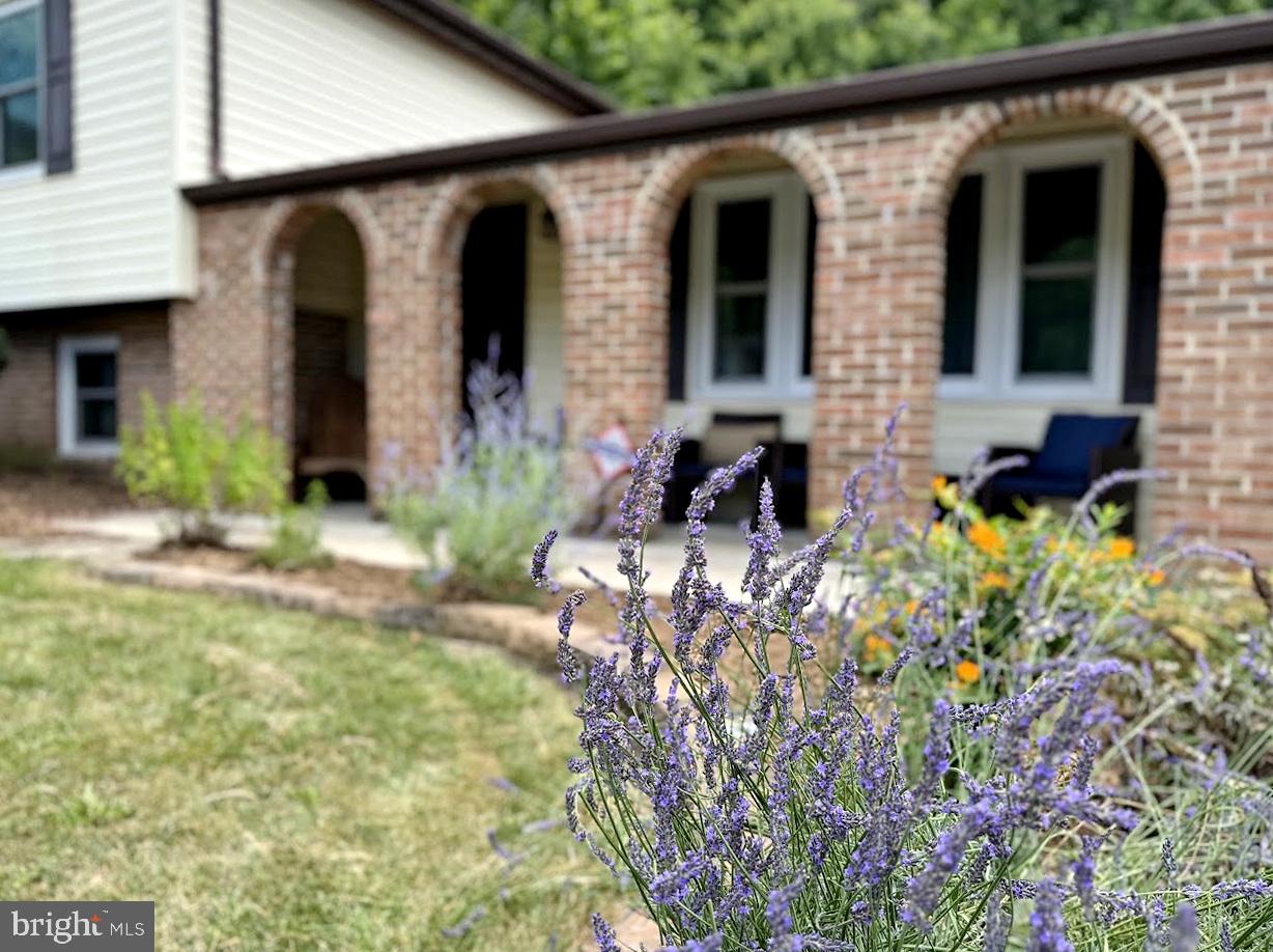 EUTAW FOREST - Residential