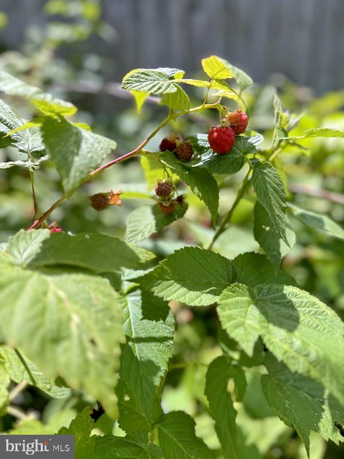 EUTAW FOREST - Residential