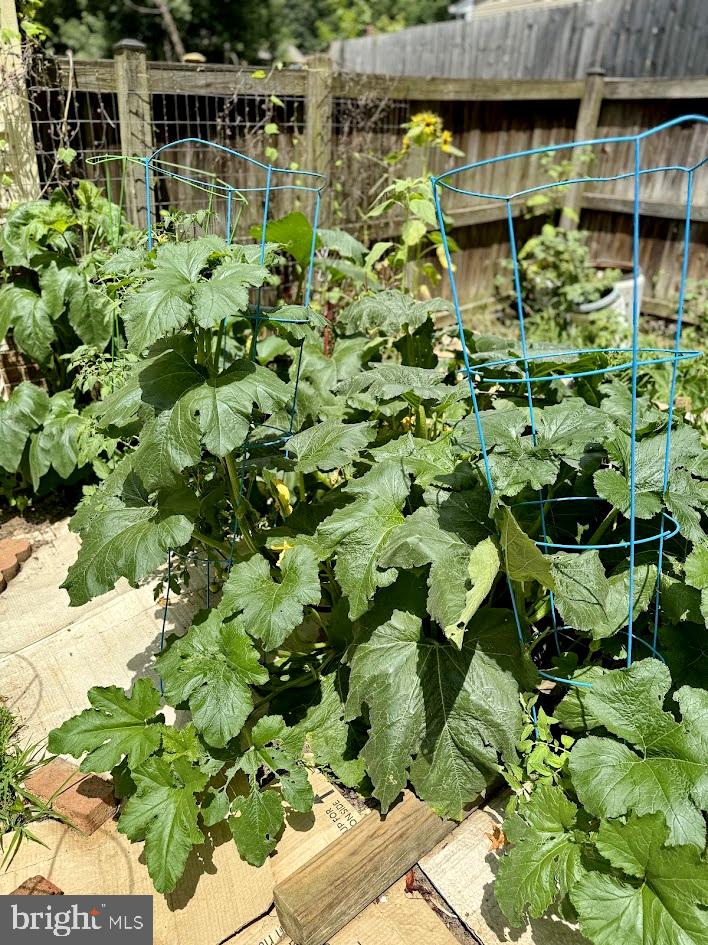 EUTAW FOREST - Residential