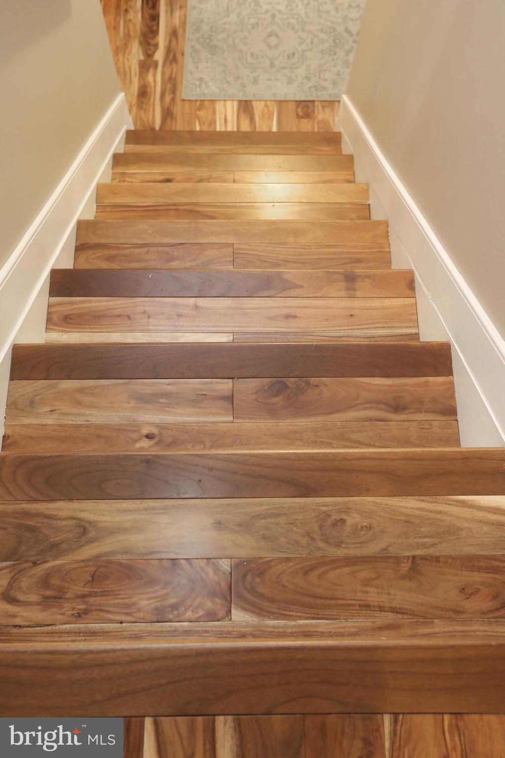 EUTAW FOREST - Residential