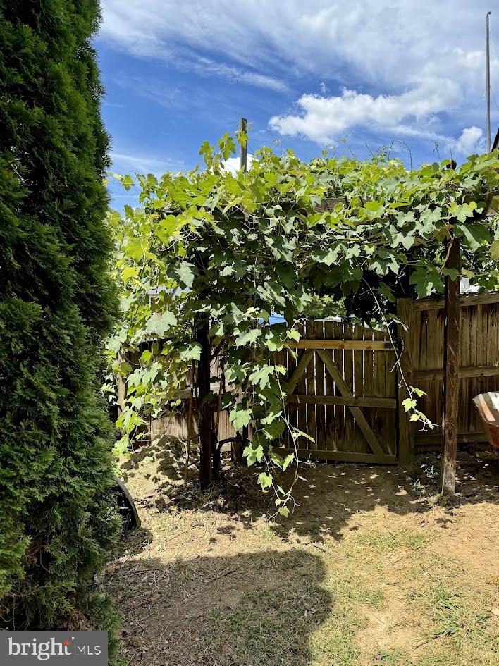 EUTAW FOREST - Residential