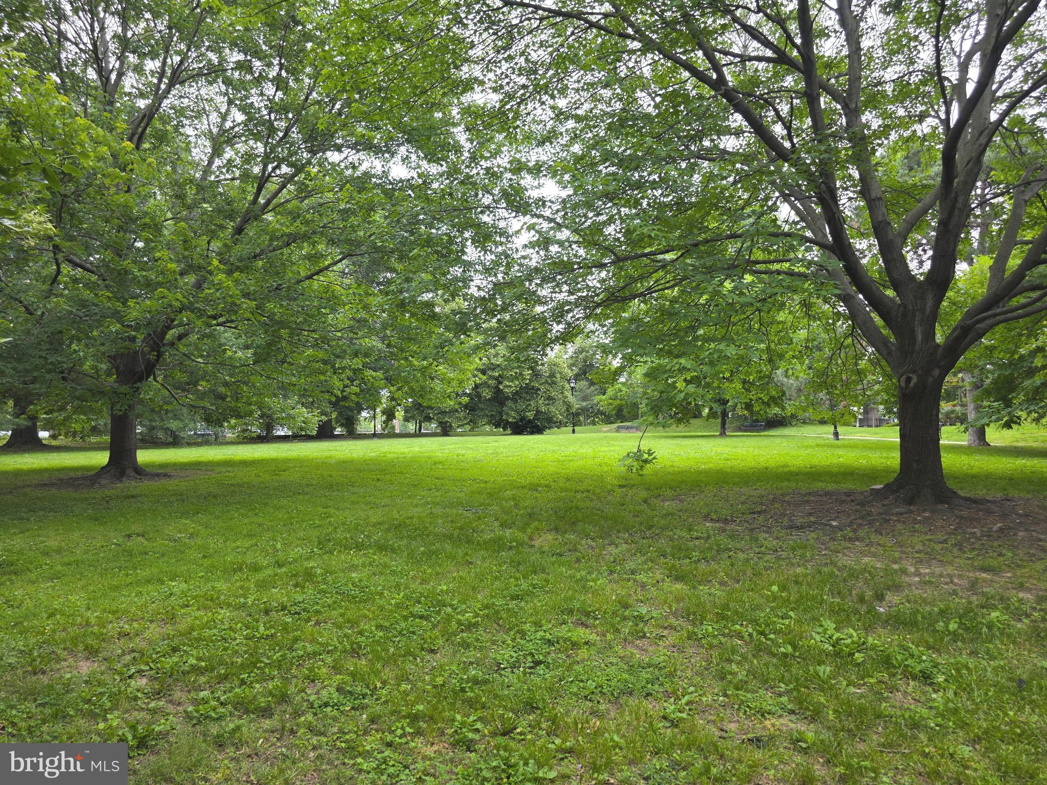 RIDGELY'S DELIGHT - Residential