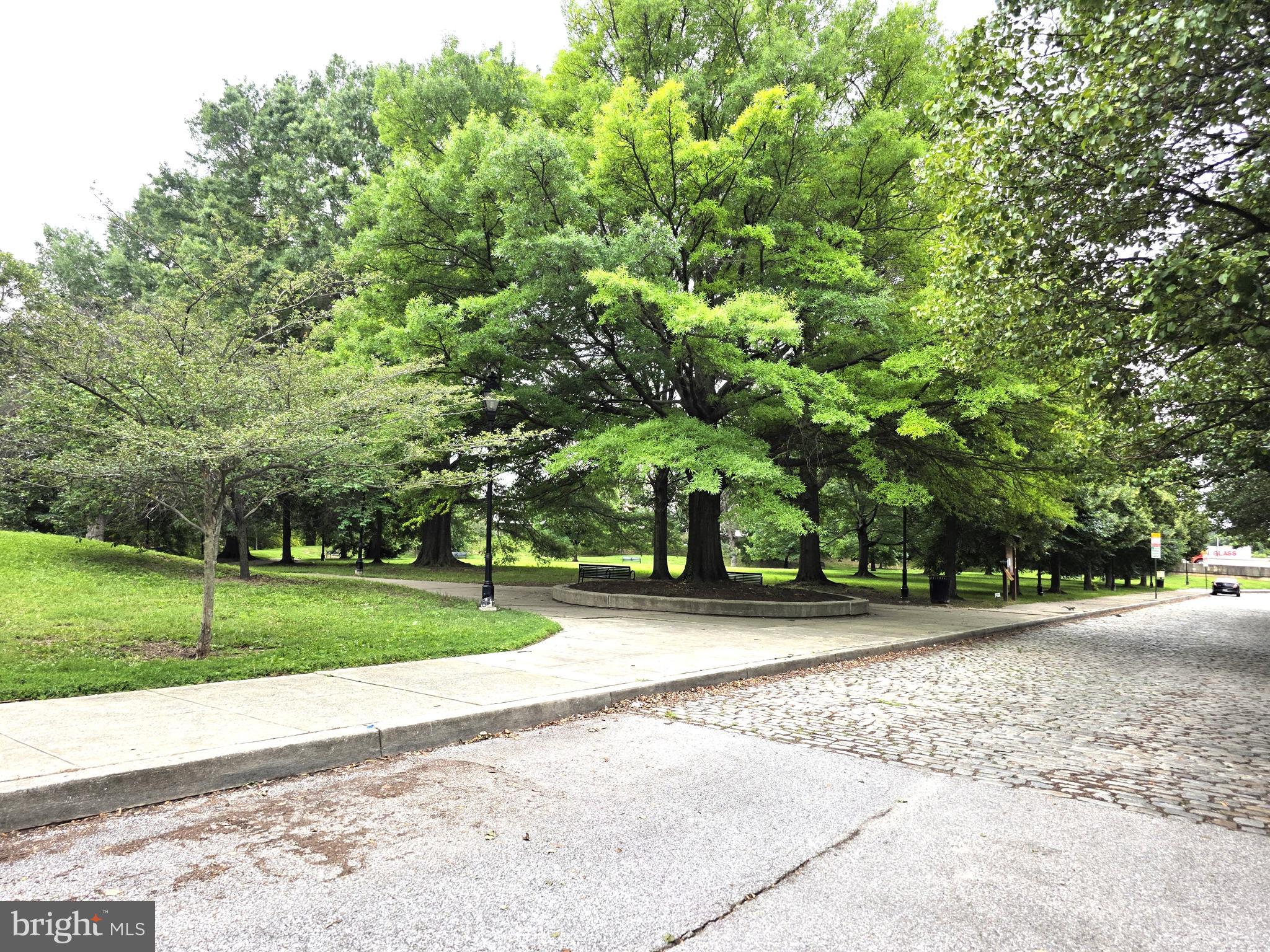 RIDGELY'S DELIGHT - Residential