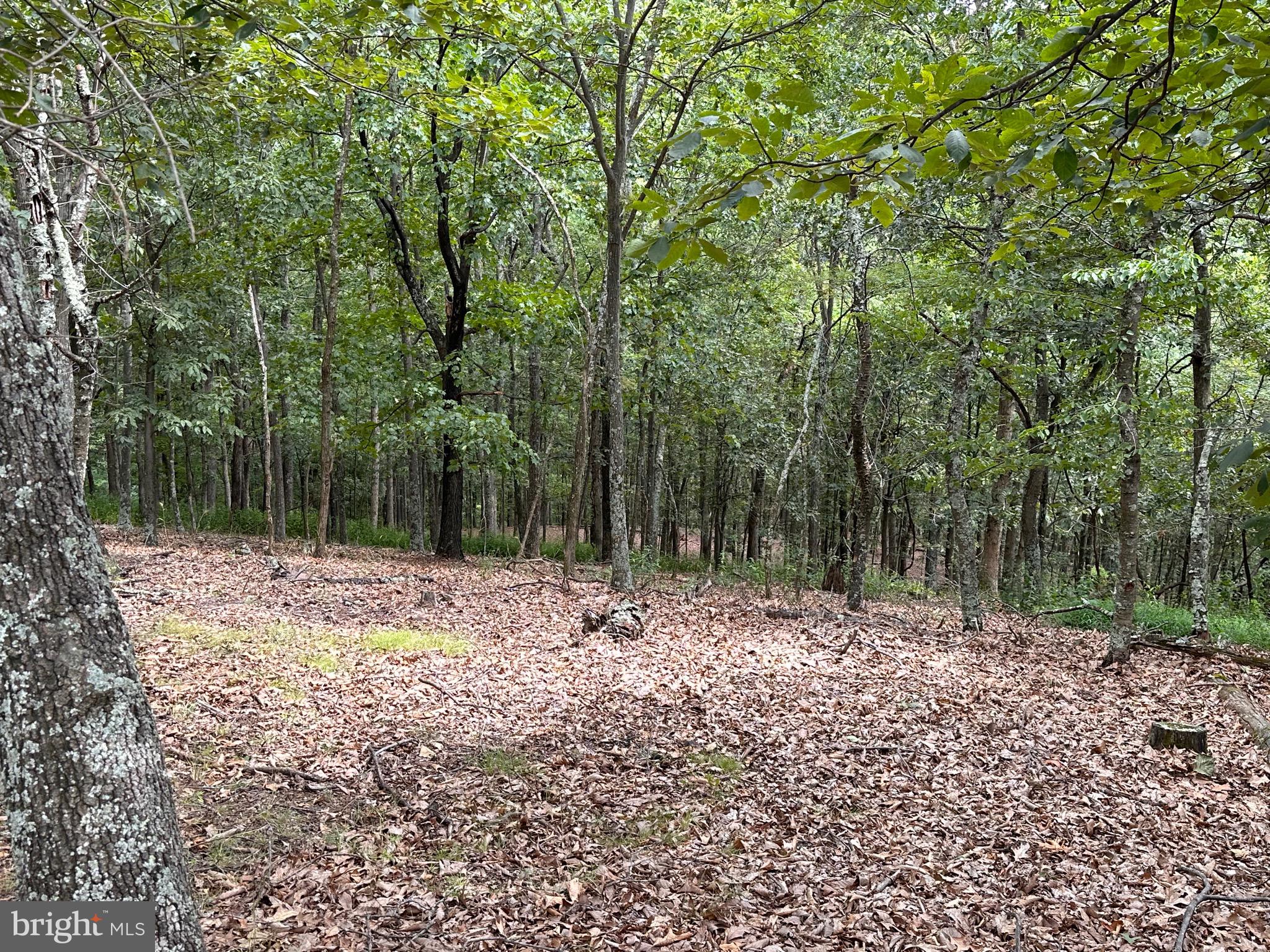 WHITETAIL RIDGE - Residential