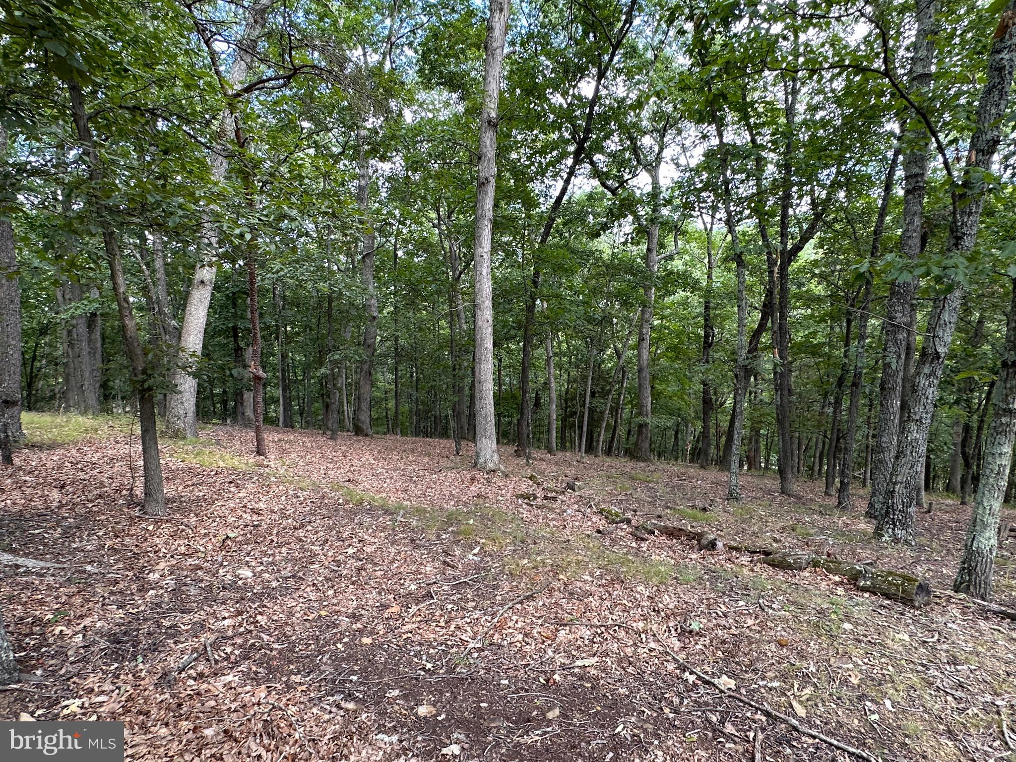 WHITETAIL RIDGE - Residential