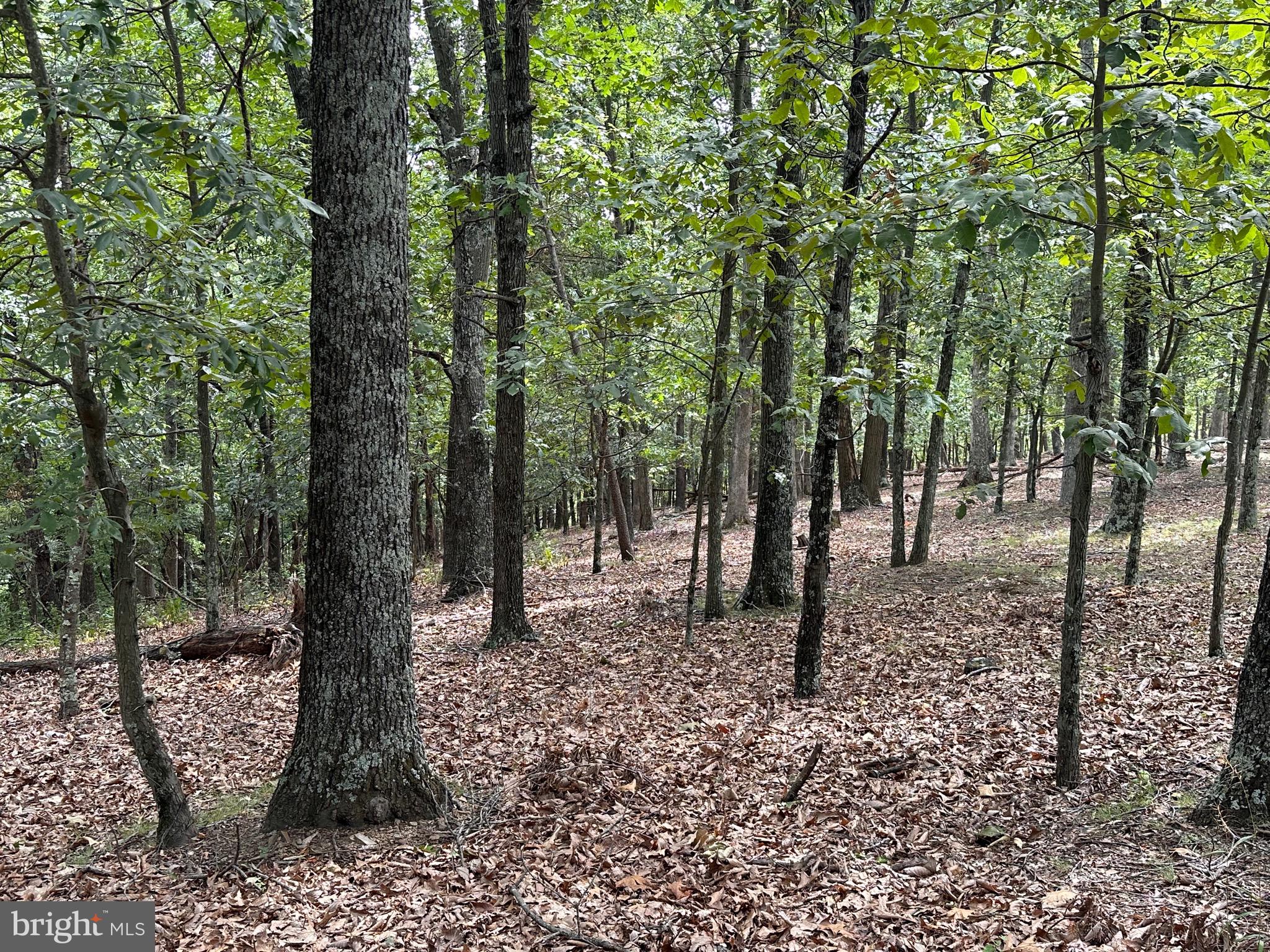 WHITETAIL RIDGE - Residential