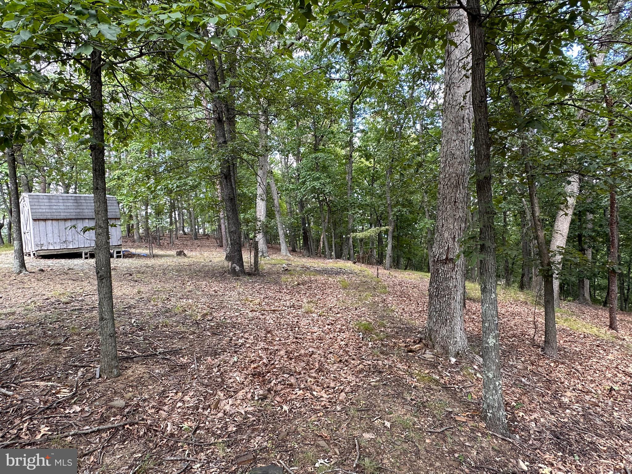 WHITETAIL RIDGE - Residential