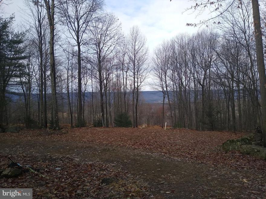 This 7.6 acres is just waiting for you and your family to build a home or cabin.  Due to a fire, the original cabin has been removed. Electric, Phone, DSL Internet, a well, and a septic system remains on the property.  They may need a little work, but they are at the lot and ready to be hooked up to your new home or cabin.  The land was recently logged, but it was done in a way to preserve the hardwoods and have a healthy timber stand in the future.  As you can see in the pictures, it is still a picture perfect piece of secluded land, just waiting for family memories and weekends in the woods.  A locked gate provides extra security, and peace of mind.  Call today for your personal tour.
