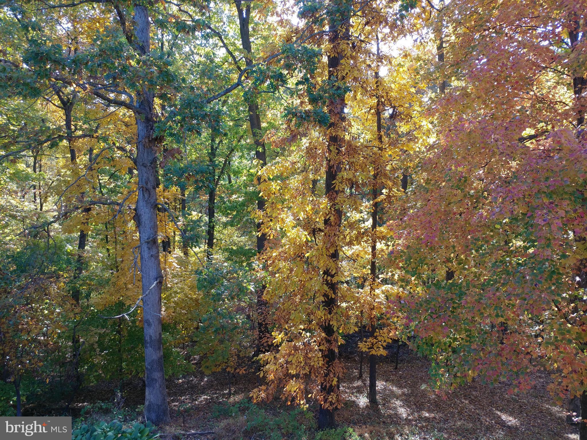 GREENSPRING EAST - Residential