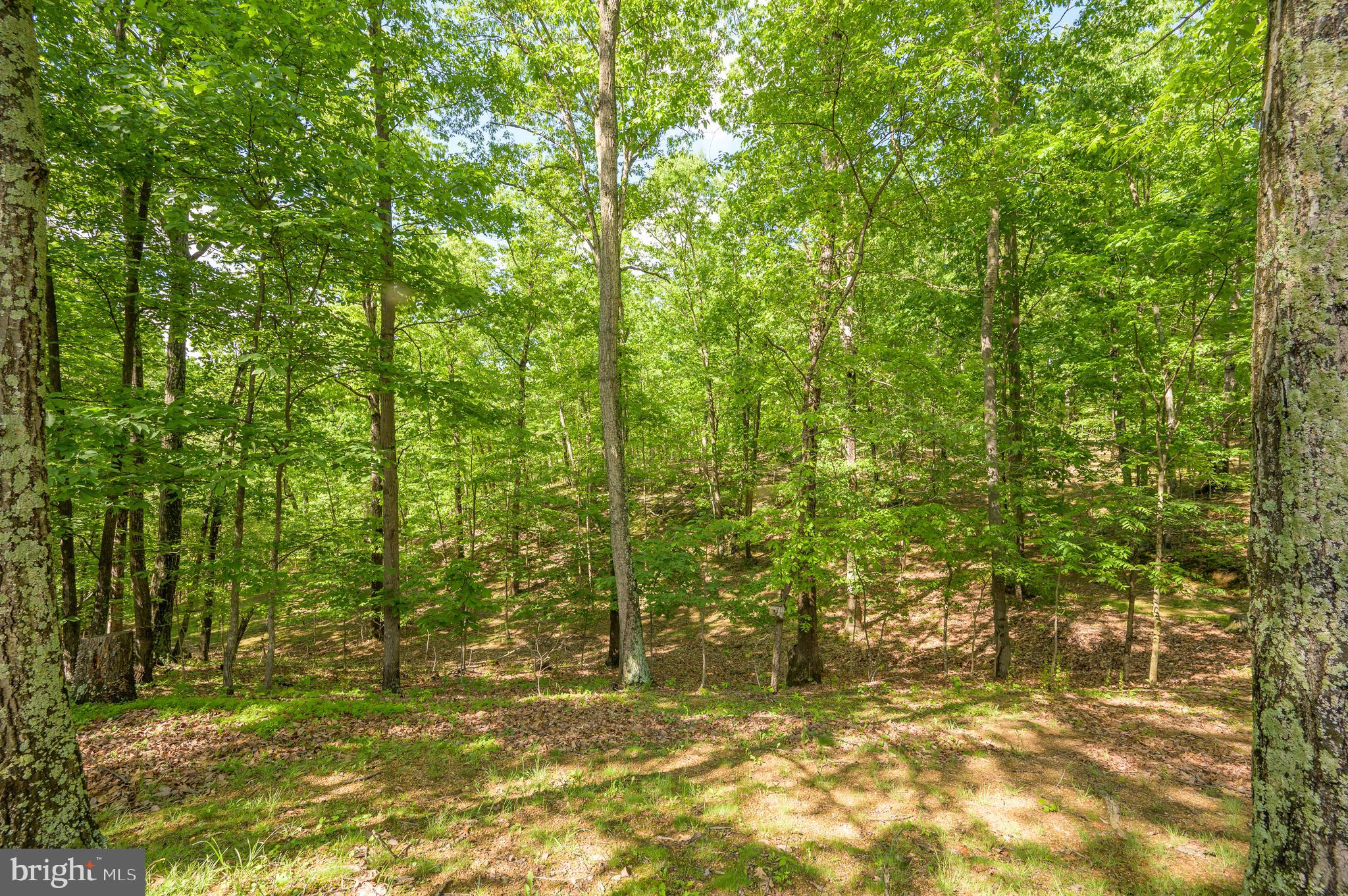 DAVID WRIGHT - Residential