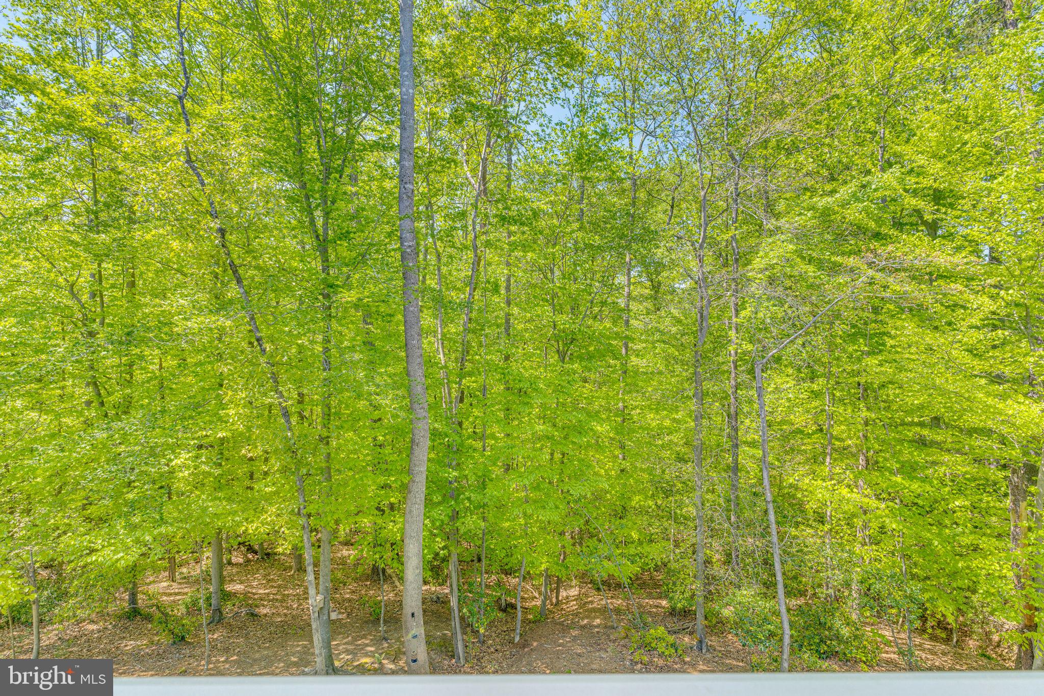 OAKLAND HALL - Residential