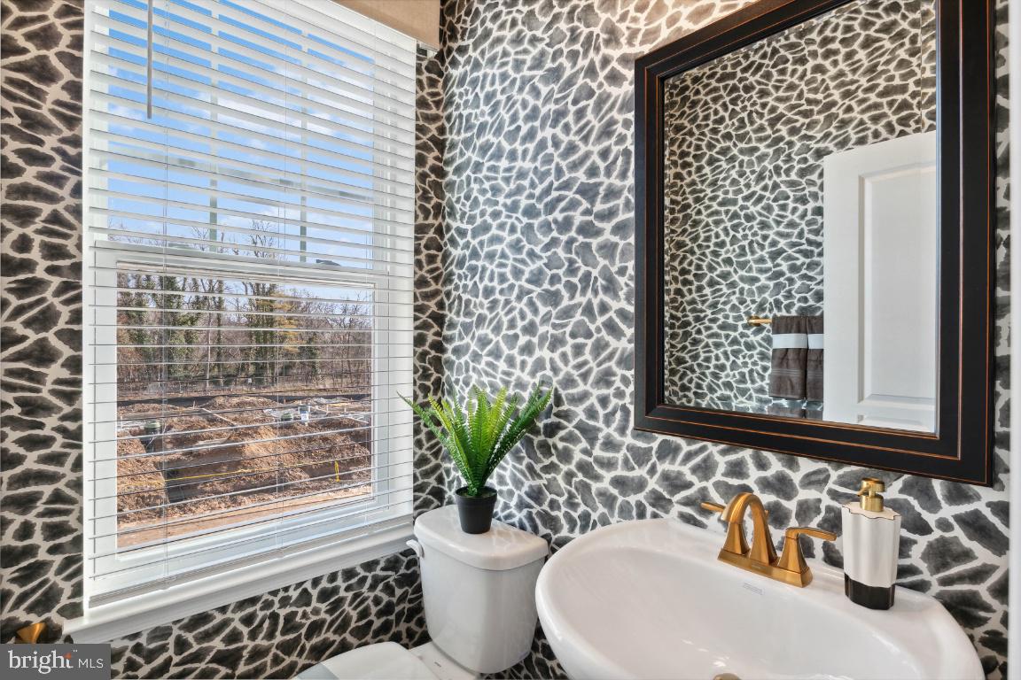 RESERVE AT DAMASCUS - Residential