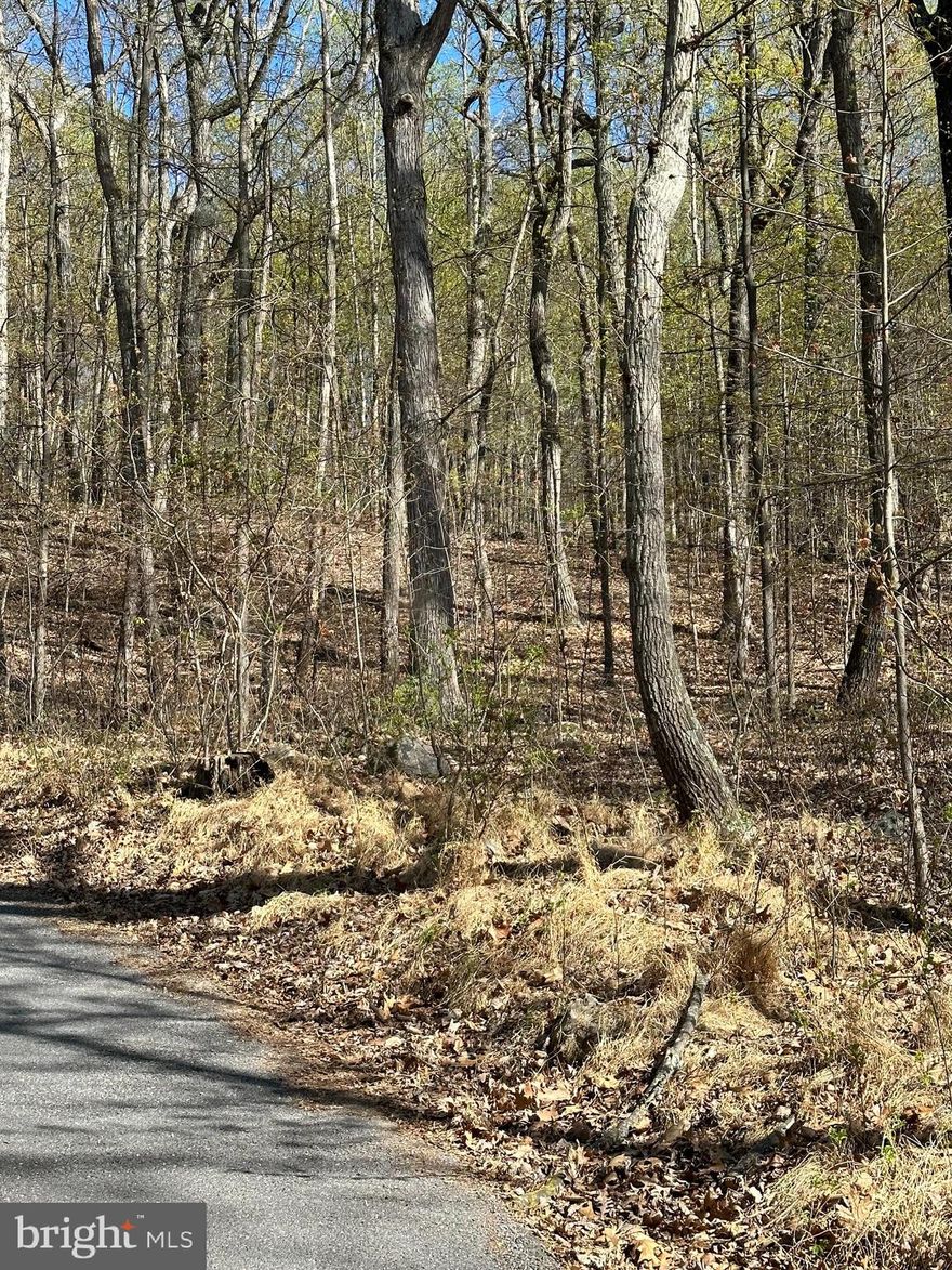 Do you want land to stretch out in?  Invest in an almost 3/4 acre Blue Ridge Mountain lot.  Lots have increased in value 300% in 5 years.  Available lots are now at their lowest level ever.  Build now or invest for later on this attractive approved 3BR septic permit lot located on a state maintained paved road in the premiere vacation spot of Jefferson County, West Virginia