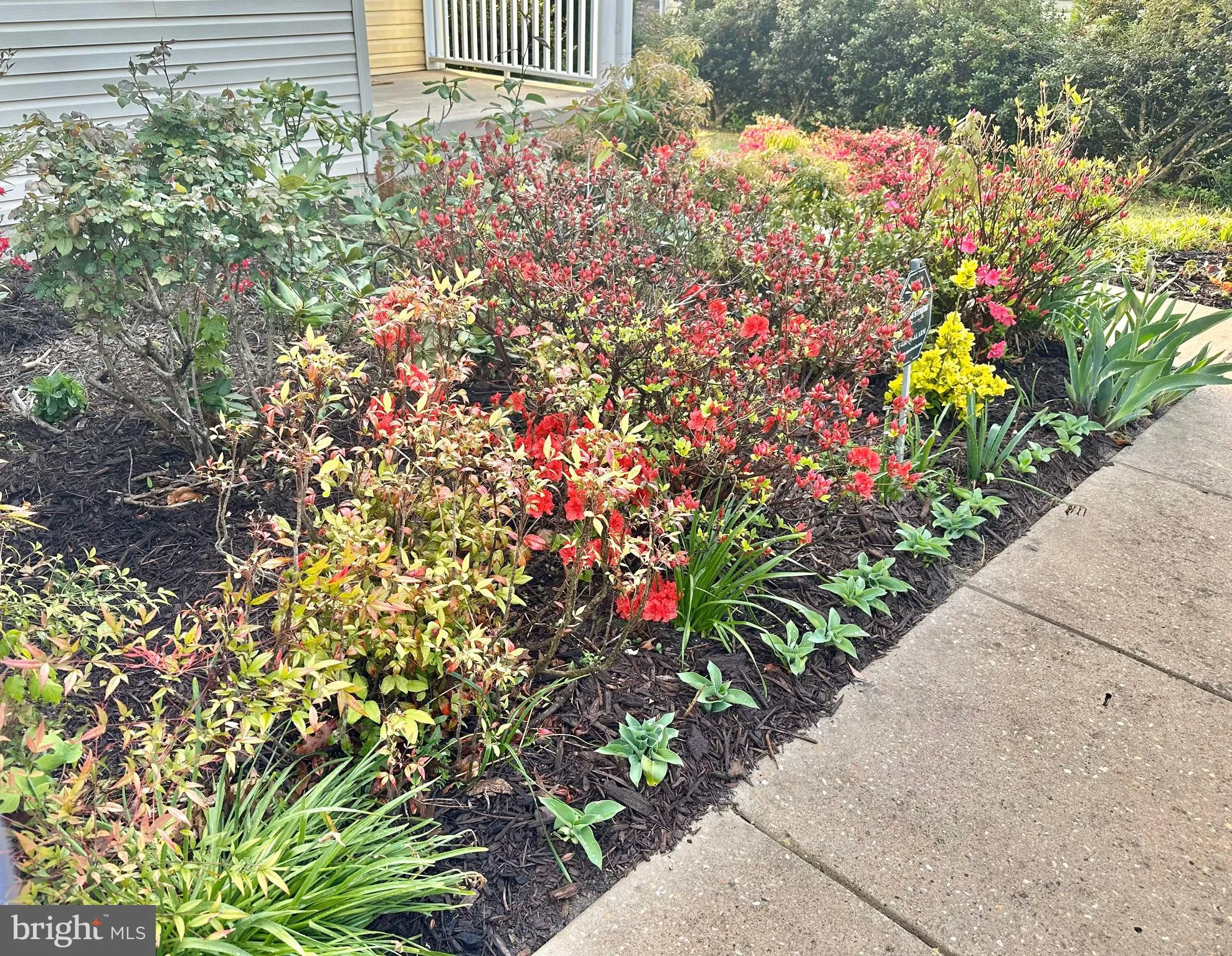 Lewes, Delaware 19958, United States, 4 Bedrooms Bedrooms, ,3 BathroomsBathrooms,Residential,Active,114525