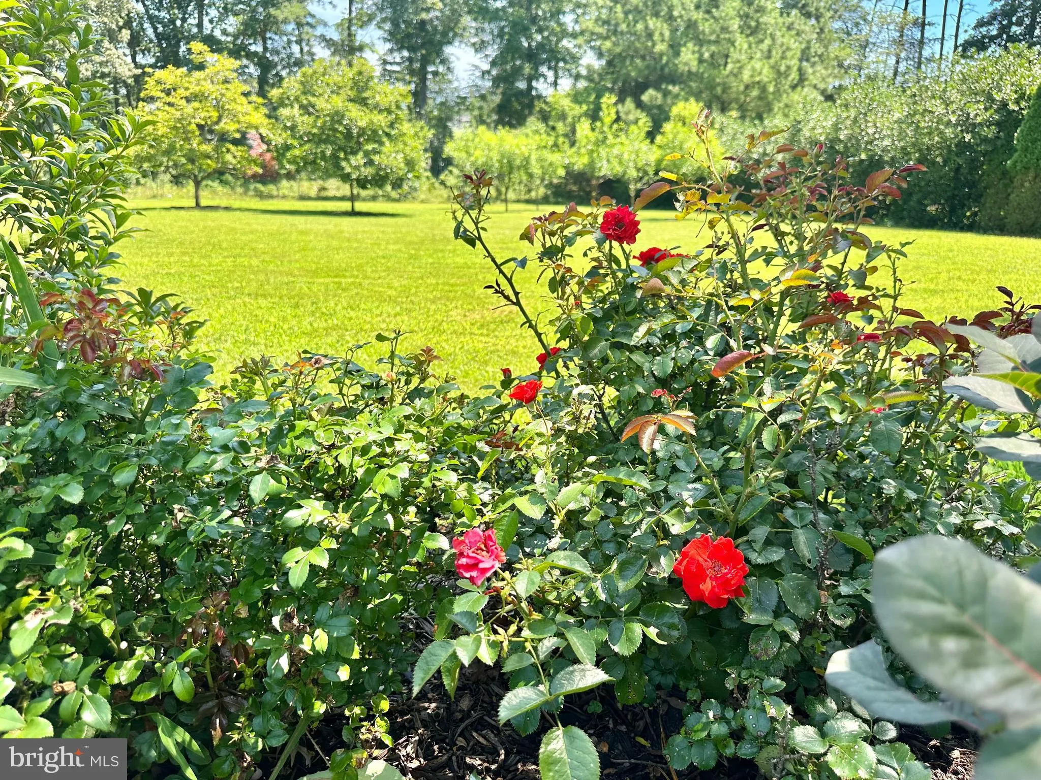 Lewes, Delaware 19958, United States, 4 Bedrooms Bedrooms, ,3 BathroomsBathrooms,Residential,Active,114525