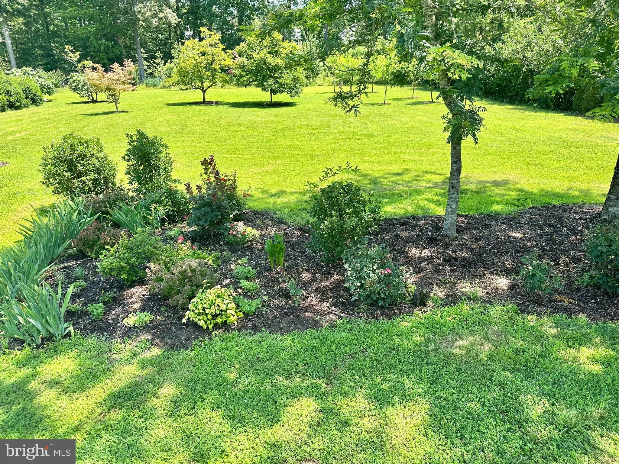 Lewes, Delaware 19958, United States, 4 Bedrooms Bedrooms, ,3 BathroomsBathrooms,Residential,Active,114525