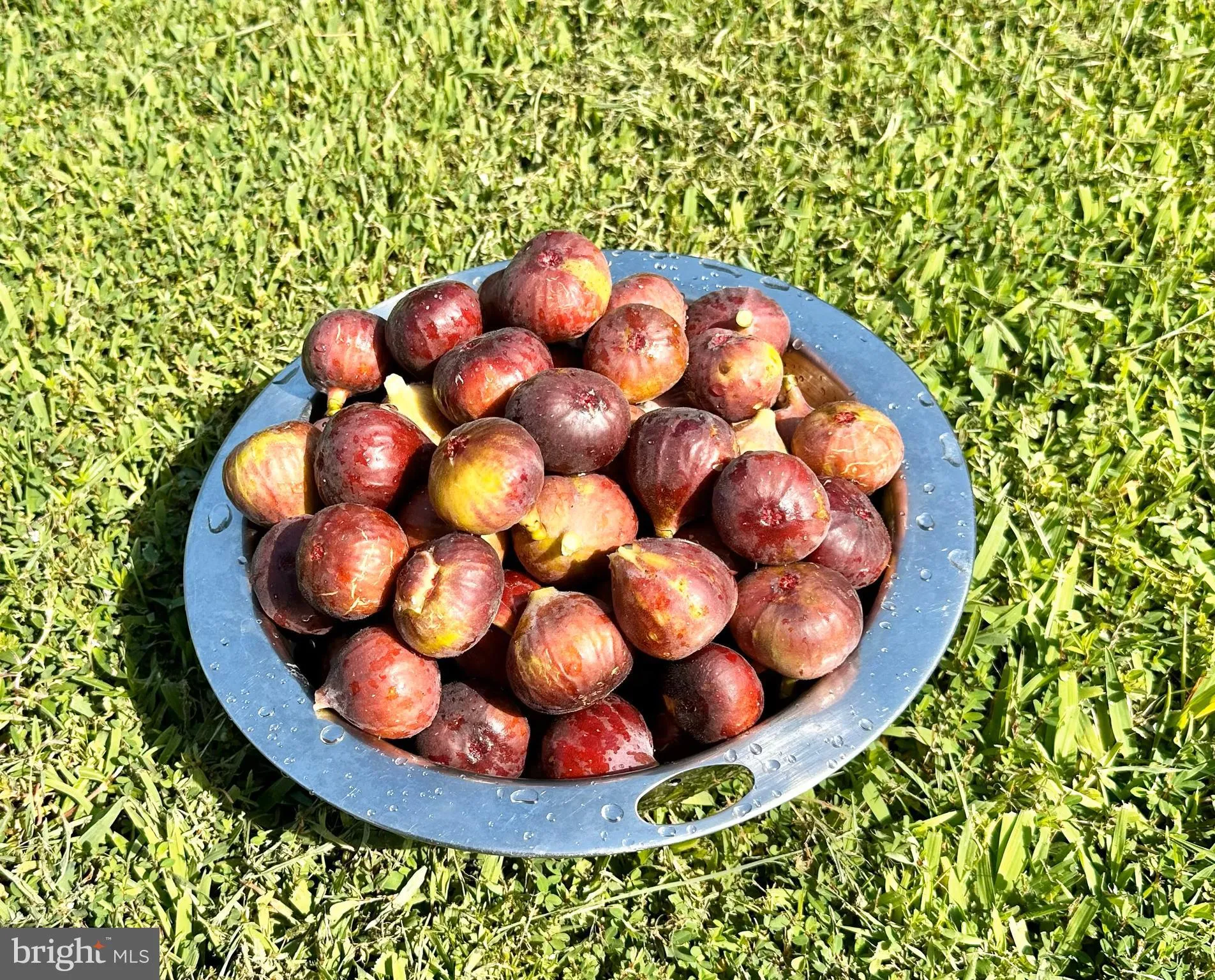 Lewes, Delaware 19958, United States, 4 Bedrooms Bedrooms, ,3 BathroomsBathrooms,Residential,Active,114525