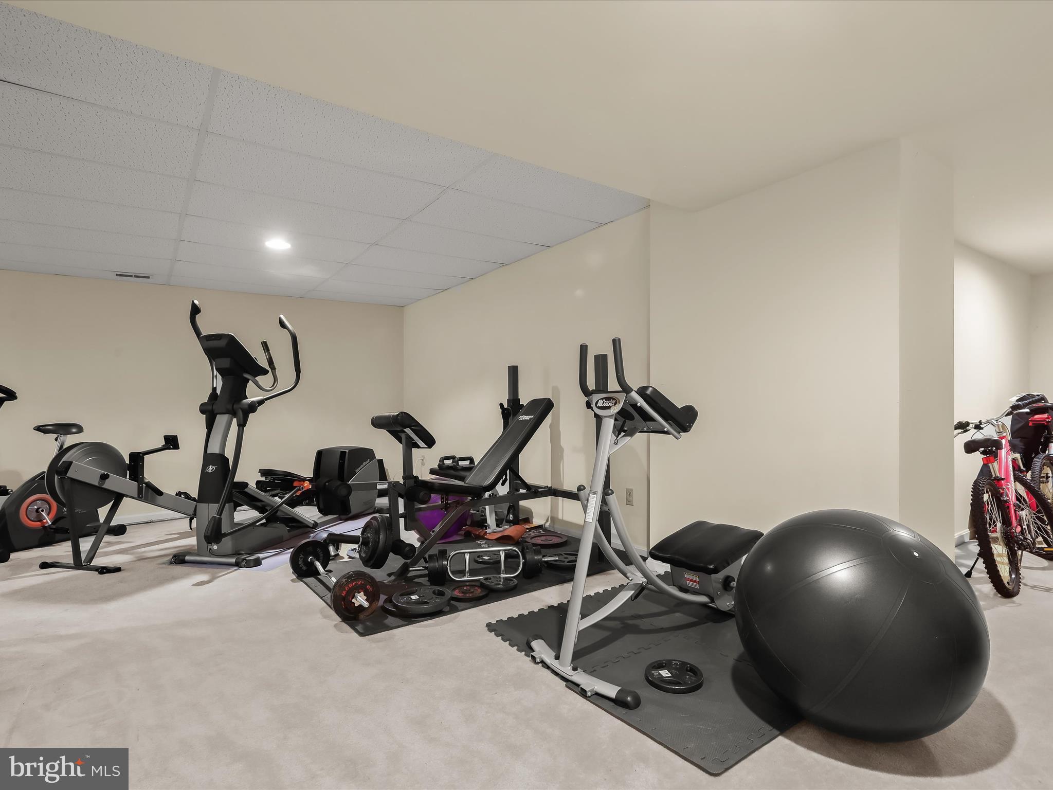 CLARY'S FOREST - Residential