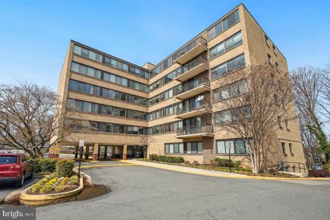 600 ROOSEVELT BOULEVARD 316 FALLS CHURCH VA 22044
