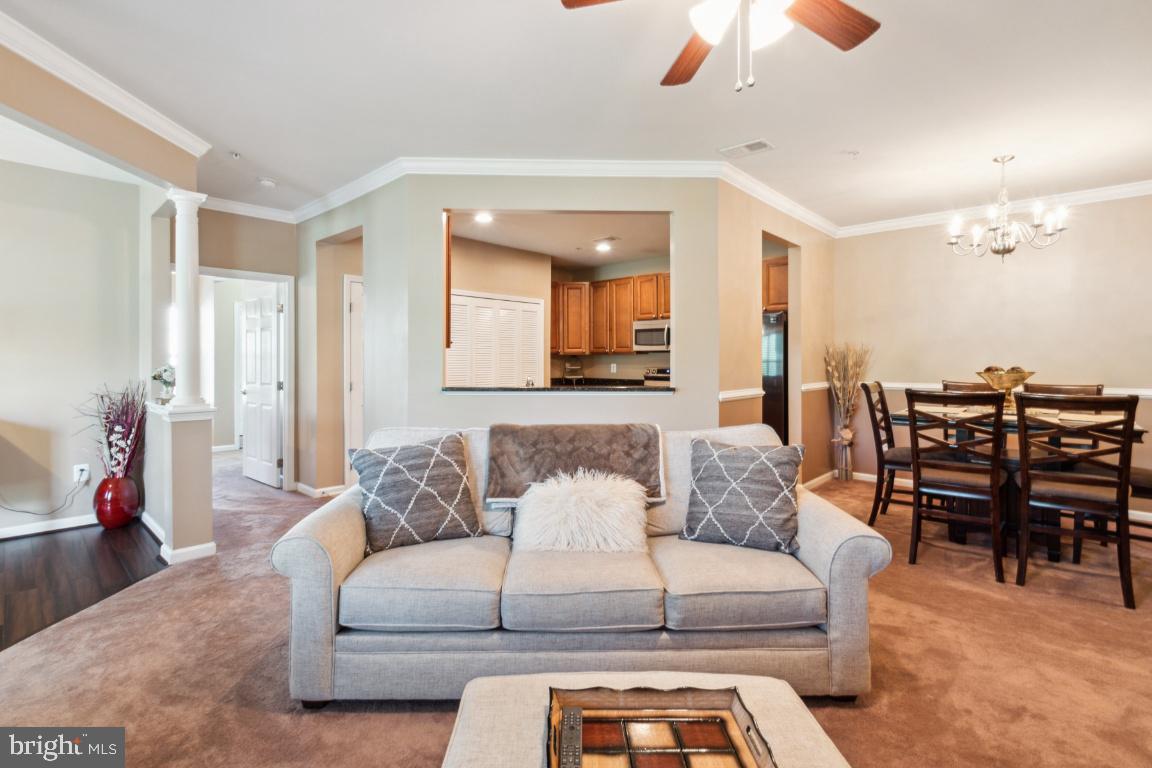 MONMOUTH MEADOWS - Residential