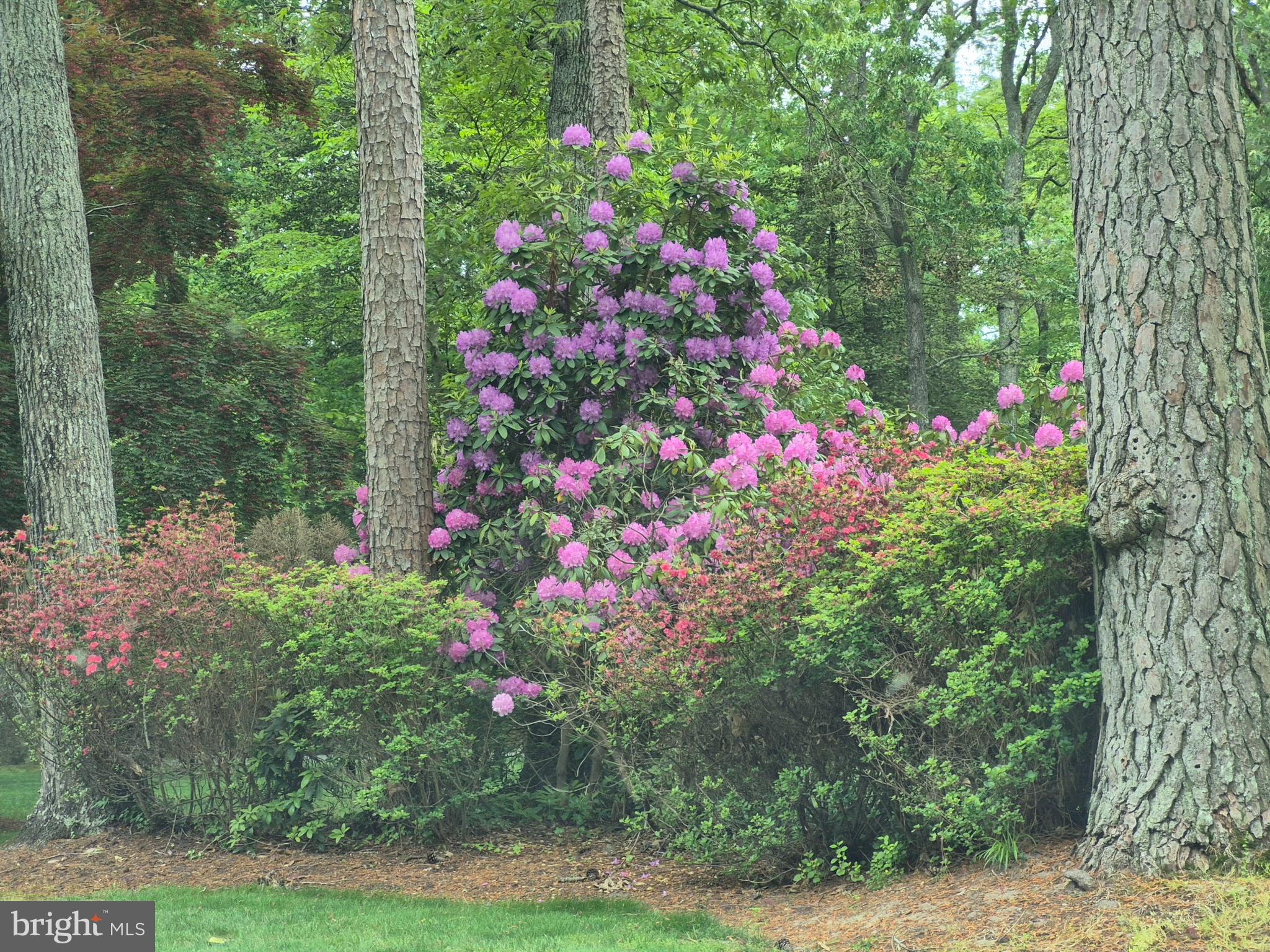 DEER HARBOUR - Residential