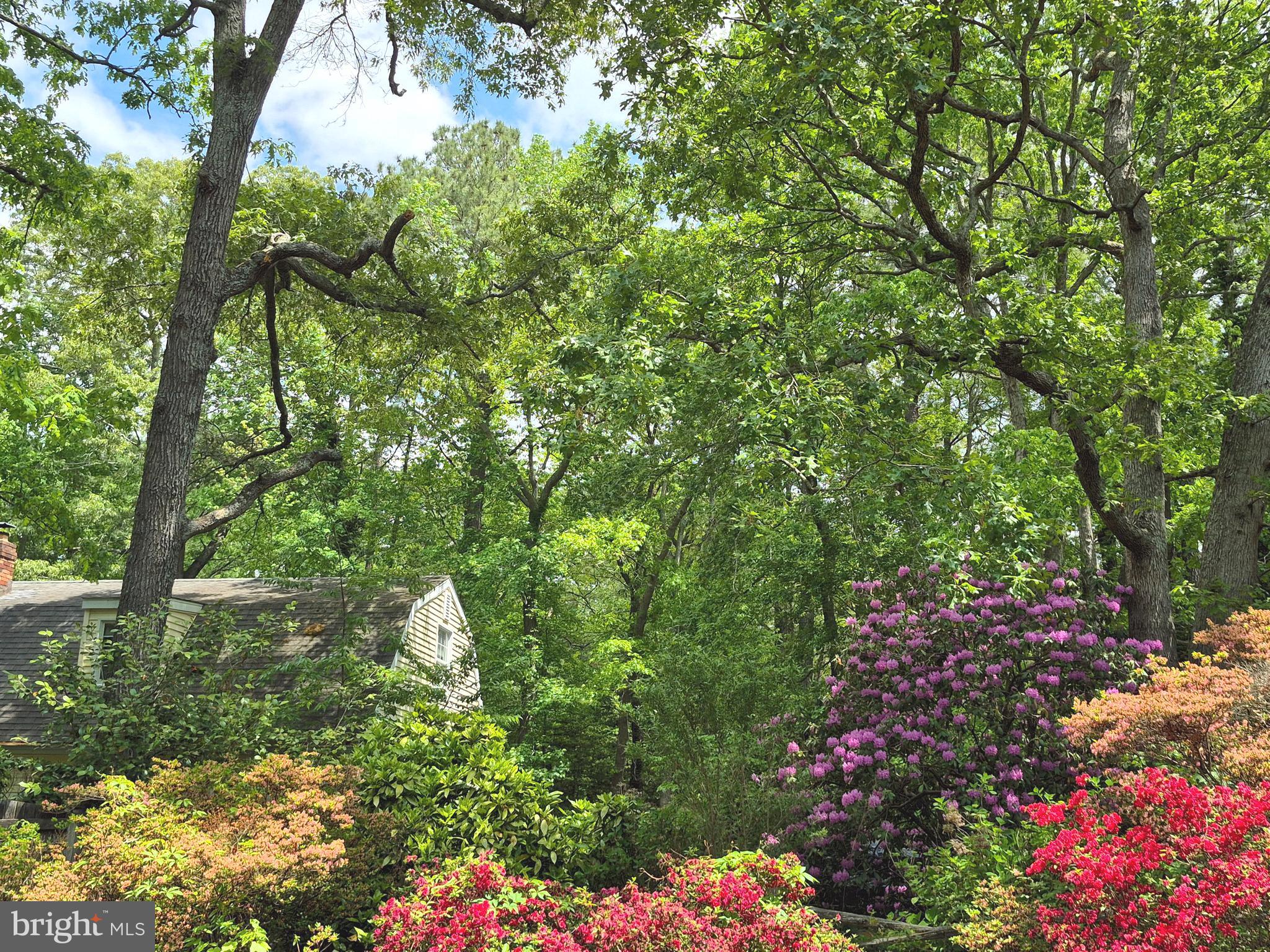 DEER HARBOUR - Residential