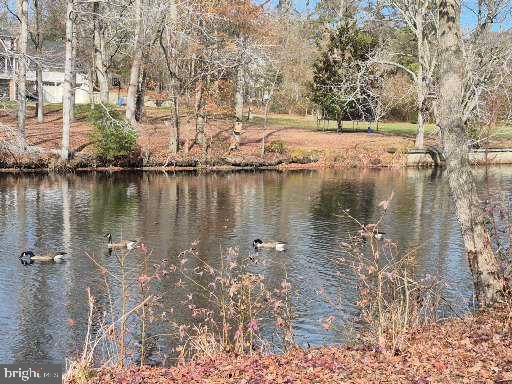 DEER HARBOUR - Residential