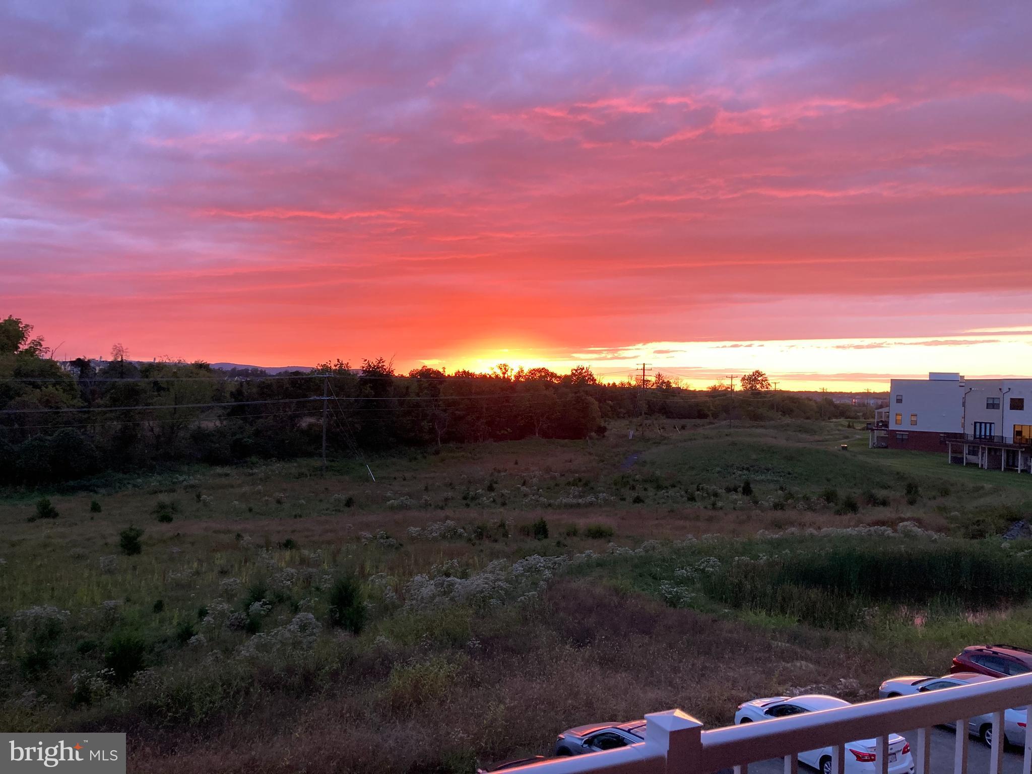 LOUDOUN VALLEY CARLISLE - Residential