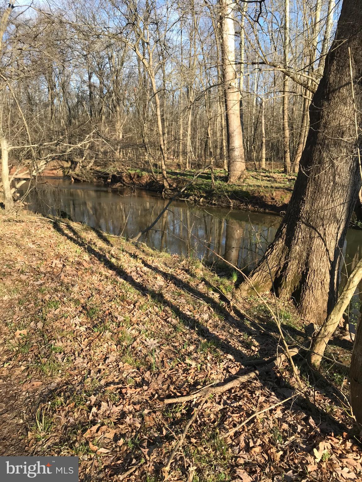 LOUDOUN VALLEY CARLISLE - Residential