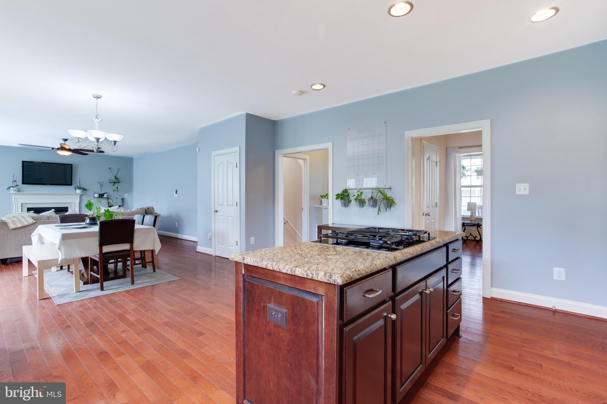 CHESAPEAKE VILLAGE - Residential