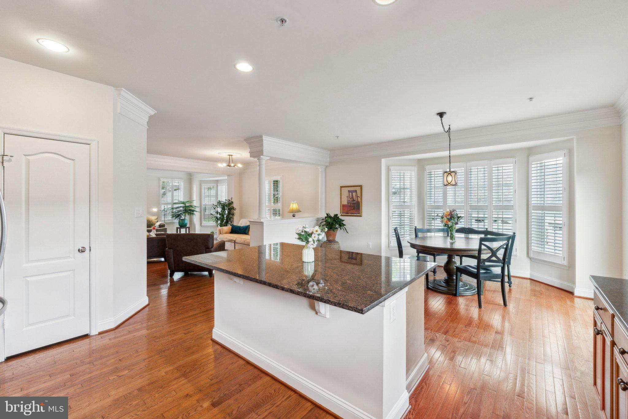 CLARKSBURG VILLAGE - Residential