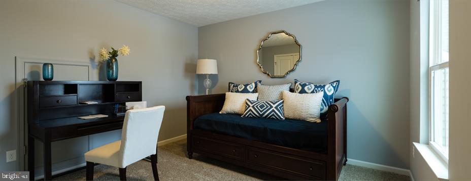 BLUE RIDGE PARK - Residential