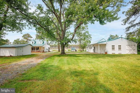 Tiny photo for 4004 Robinson Neck Road, TAYLORS ISLAND, MD 21669 (MLS # MDDO2011982)