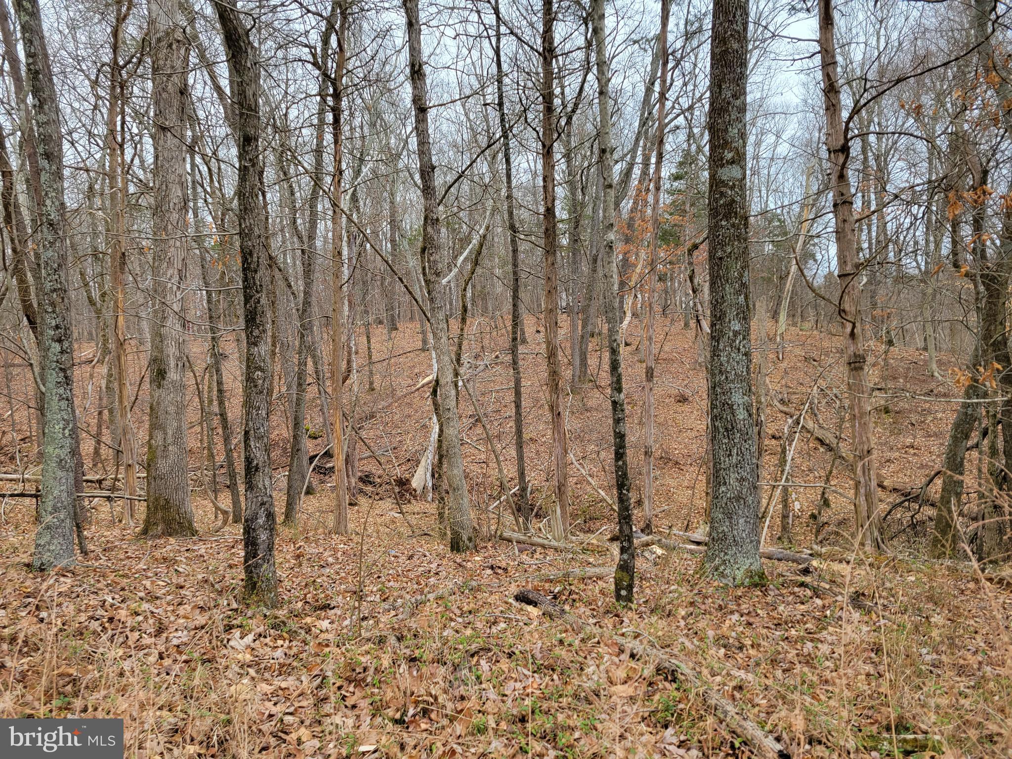 BULL RUN ESTATES - Land