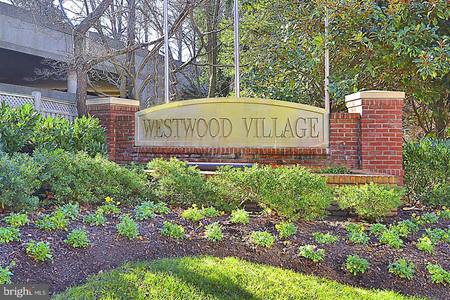 TYSONS VILLAGE - Residential