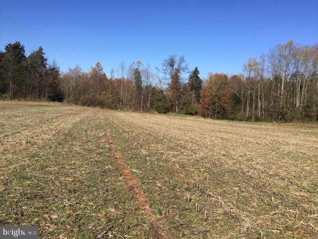 NONE AVAILABLE - Land