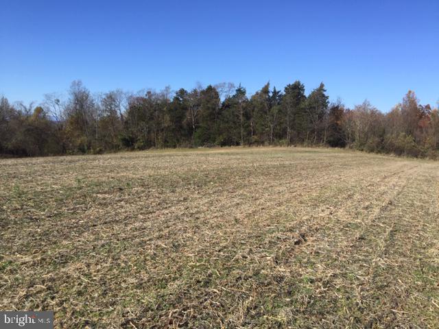 NONE AVAILABLE - Land